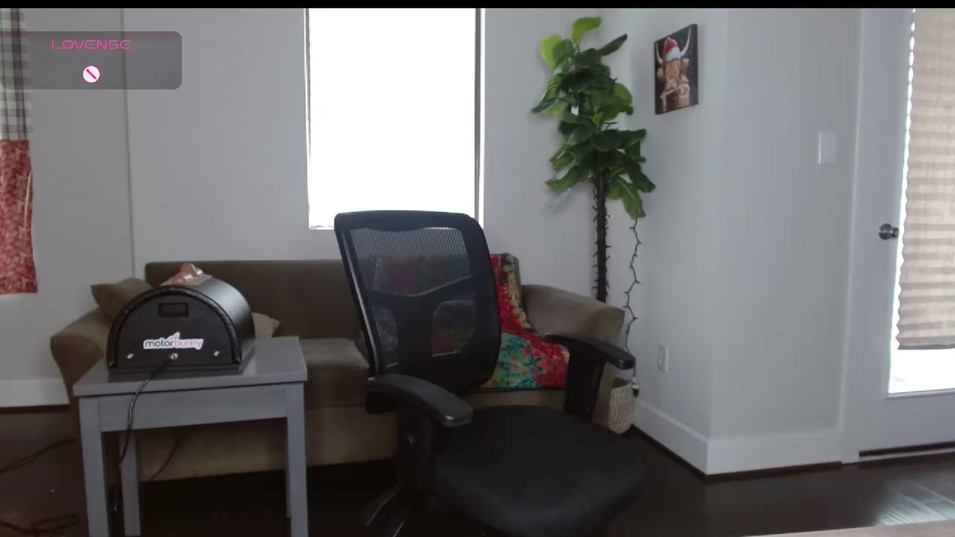 Gallery image thumbnail from Maikuchi's myfreecams stream on, 12/23/2024, 19:29 image 15 of 20