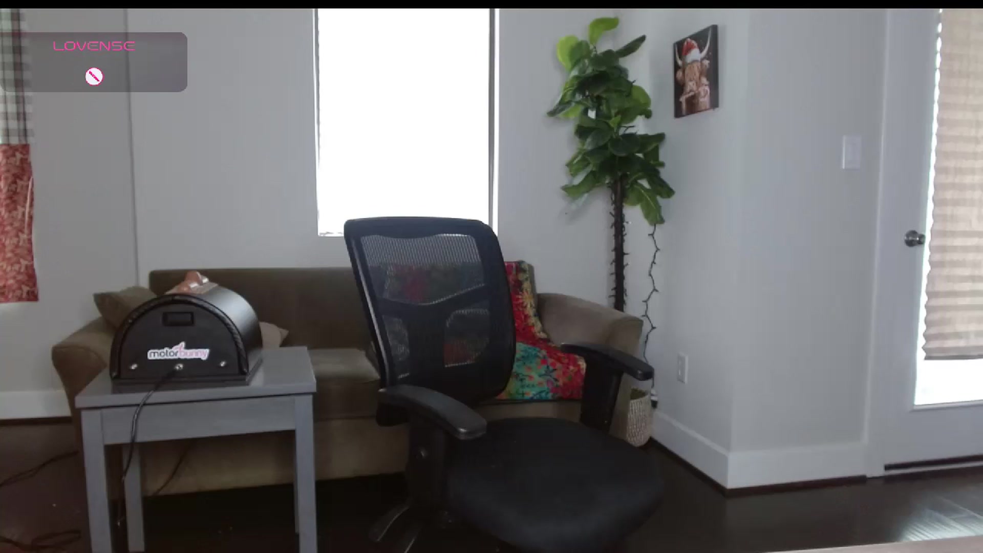 Gallery image thumbnail from Maikuchi's myfreecams stream on, 12/23/2024, 19:29 image 16 of 20