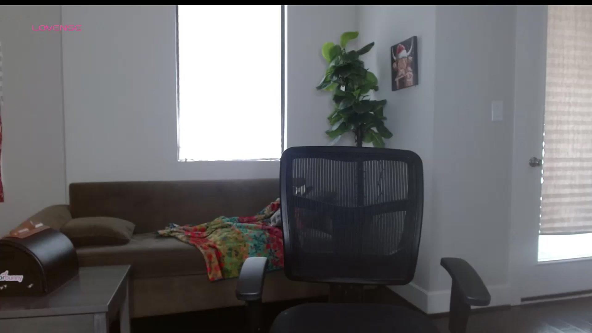 Gallery image thumbnail from Maikuchi's myfreecams stream on, 12/29/2024, 18:11 image 9 of 20