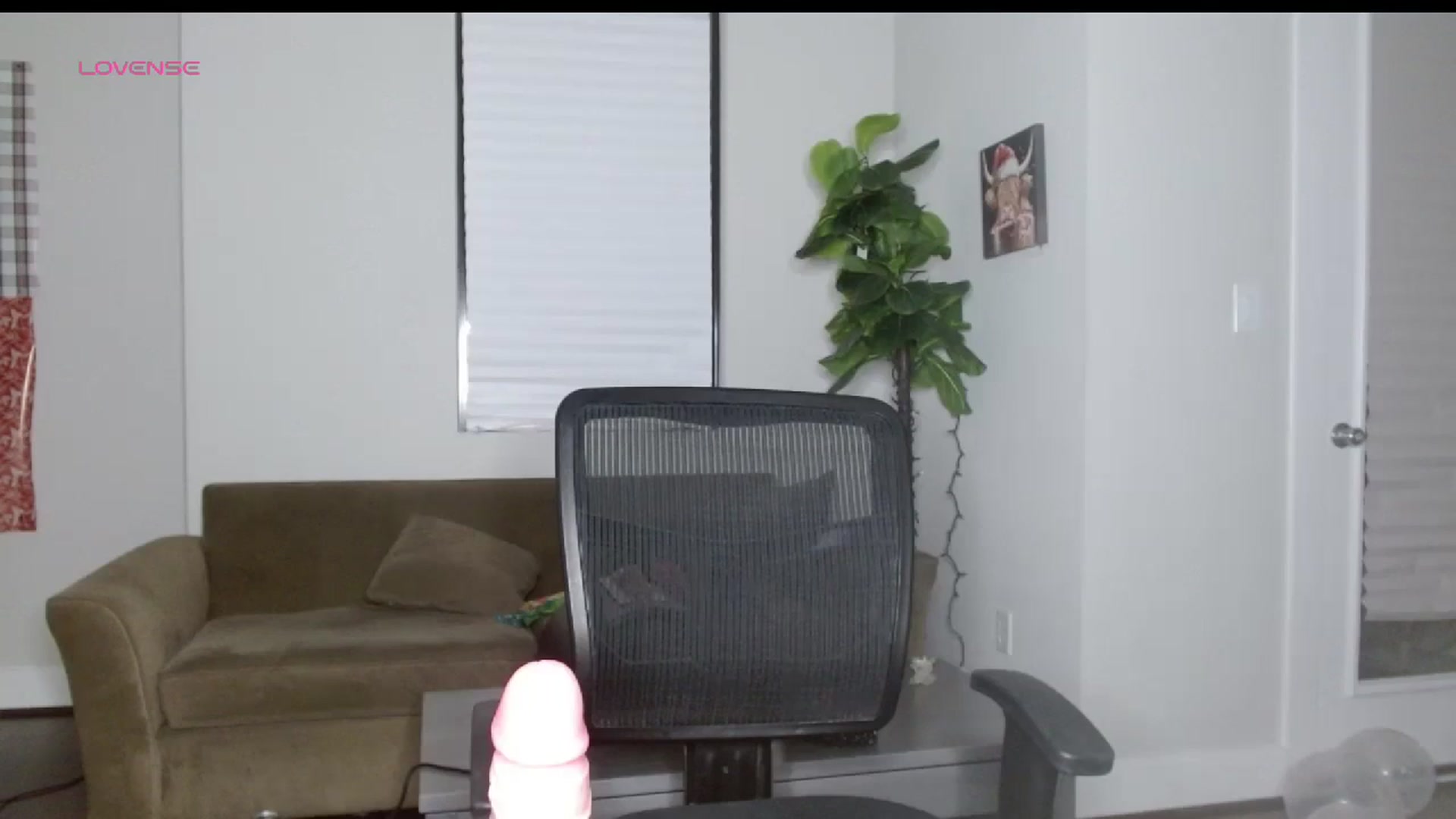 Gallery image thumbnail from Maikuchi's myfreecams stream on, 01/02/2025, 01:21 image 6 of 20