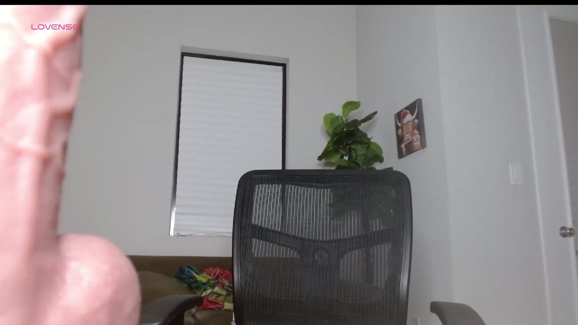 Gallery image thumbnail from Maikuchi's myfreecams stream on, 01/02/2025, 03:45 image 6 of 20