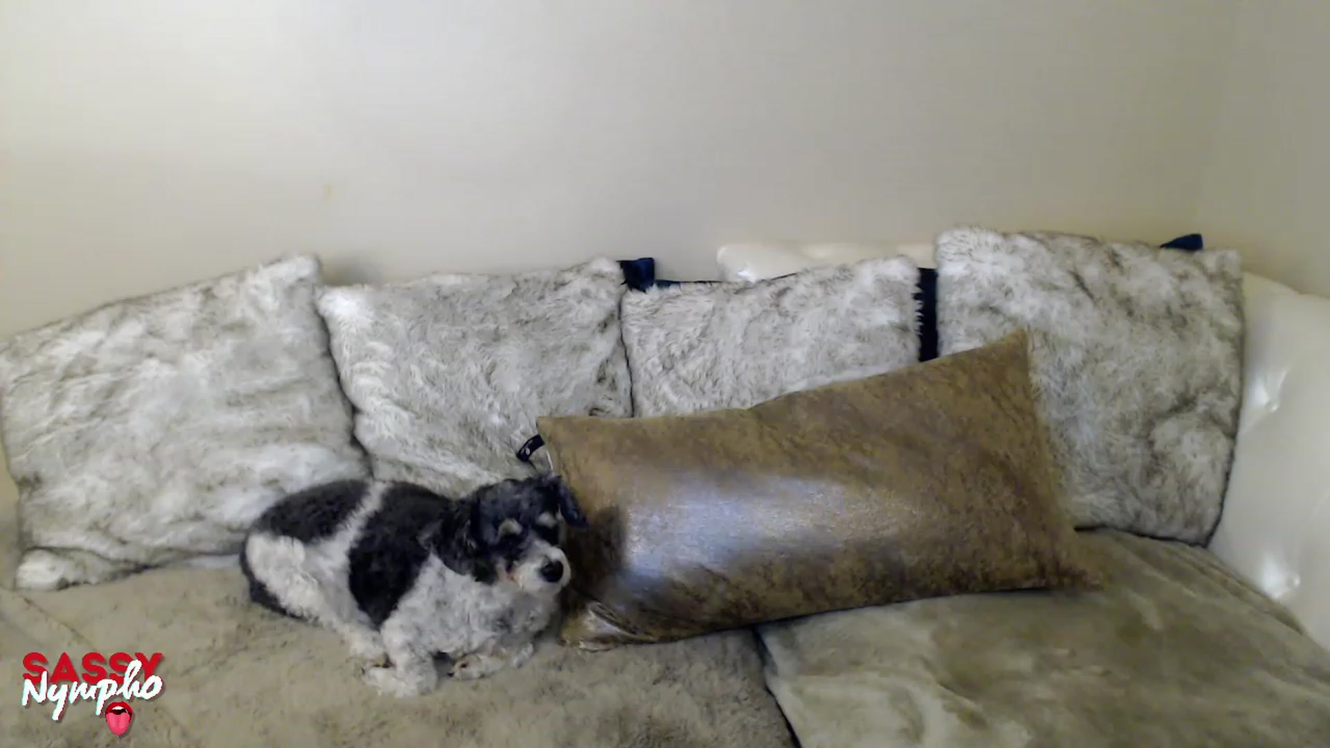Gallery image thumbnail from MakeMe_WetXx's myfreecams stream on, 01/22/2023, 14:00 image 3 of 20