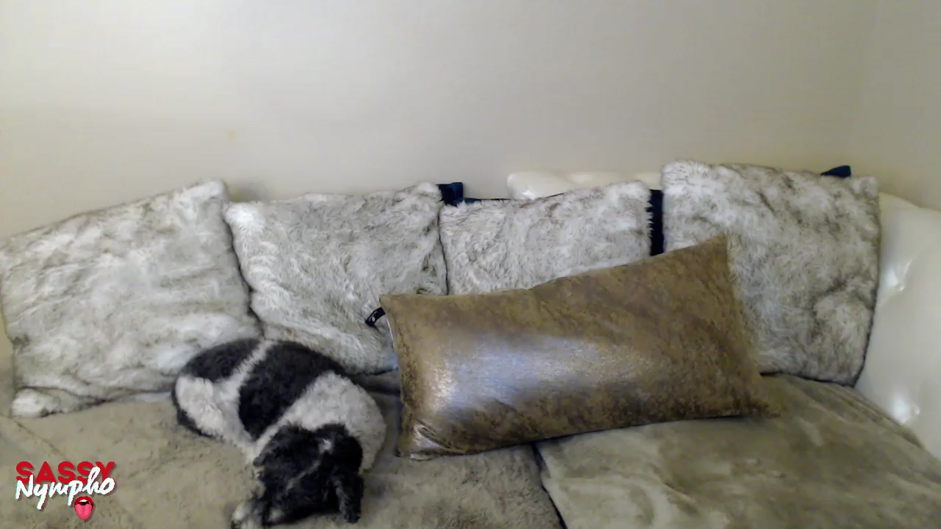 Gallery image thumbnail from MakeMe_WetXx's myfreecams stream on, 01/22/2023, 14:00 image 2 of 20