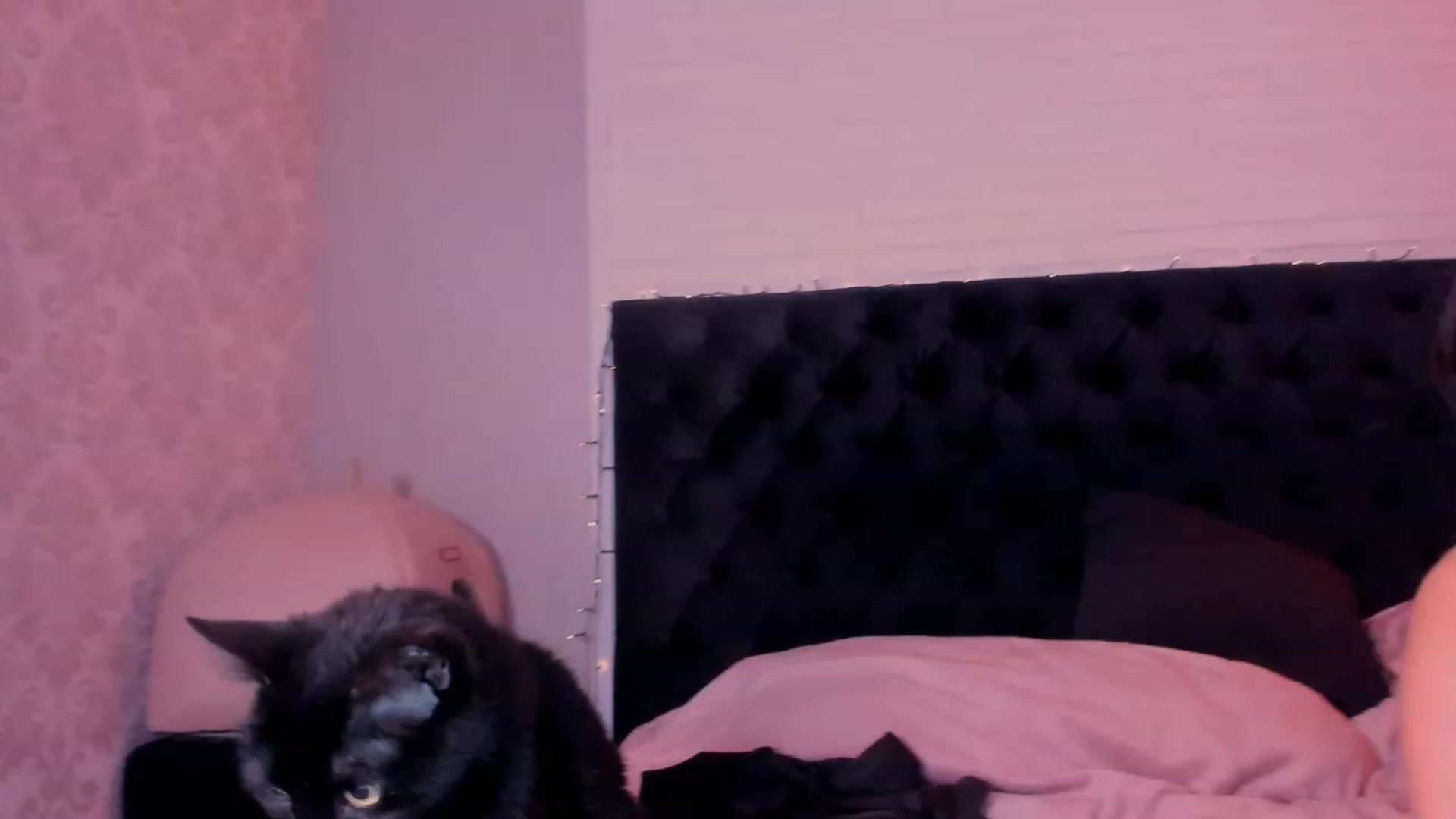 Gallery image thumbnail from Make_my_Luck's myfreecams stream on, 12/12/2022, 23:39 image 1 of 20
