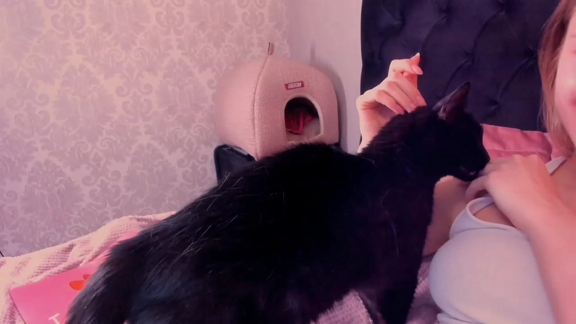 Gallery image thumbnail from Make_my_Luck's myfreecams stream on, 12/20/2022, 21:11 image 12 of 20