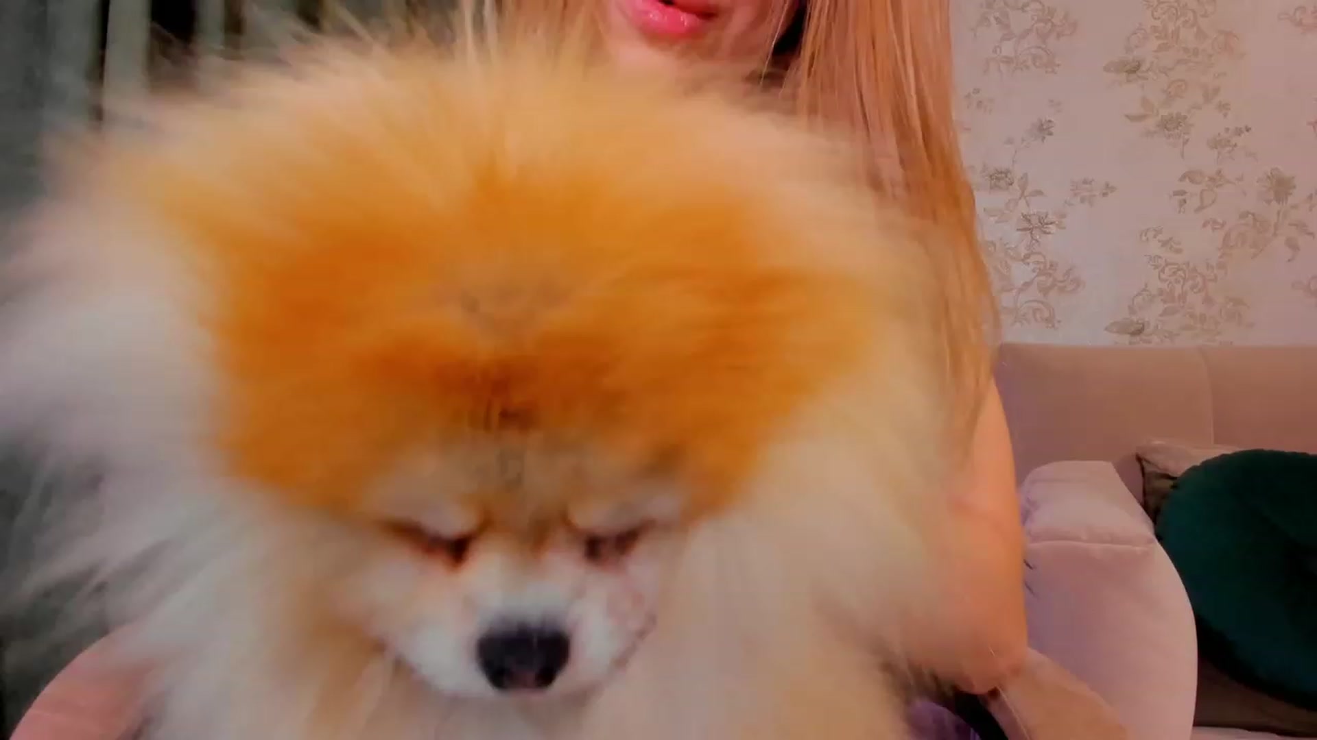 Gallery image thumbnail from Make_my_Luck's myfreecams stream on, 12/06/2023, 20:30 image 14 of 20