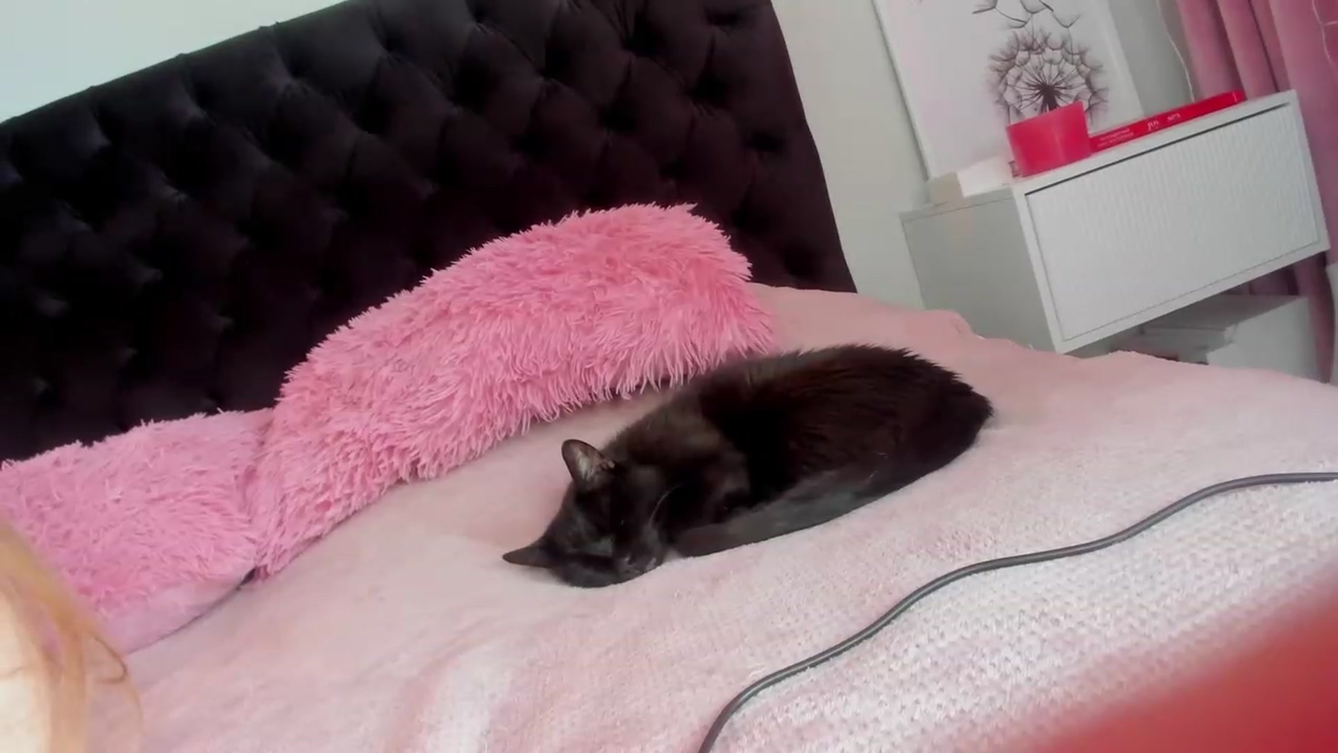 Gallery image thumbnail from Make_my_Luck's myfreecams stream on, 02/24/2024, 09:33 image 19 of 20