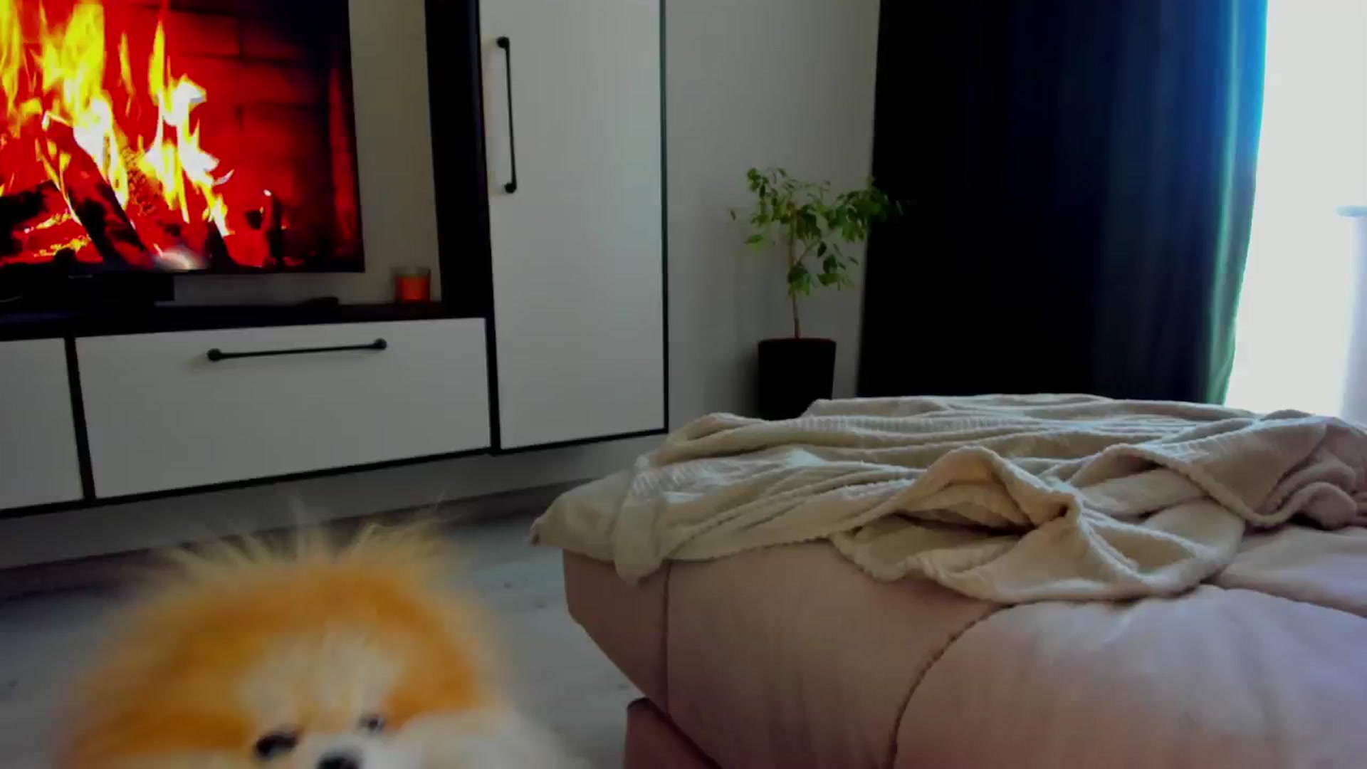 Gallery image thumbnail from Make_my_Luck's myfreecams stream on, 05/30/2024, 07:17 image 11 of 20