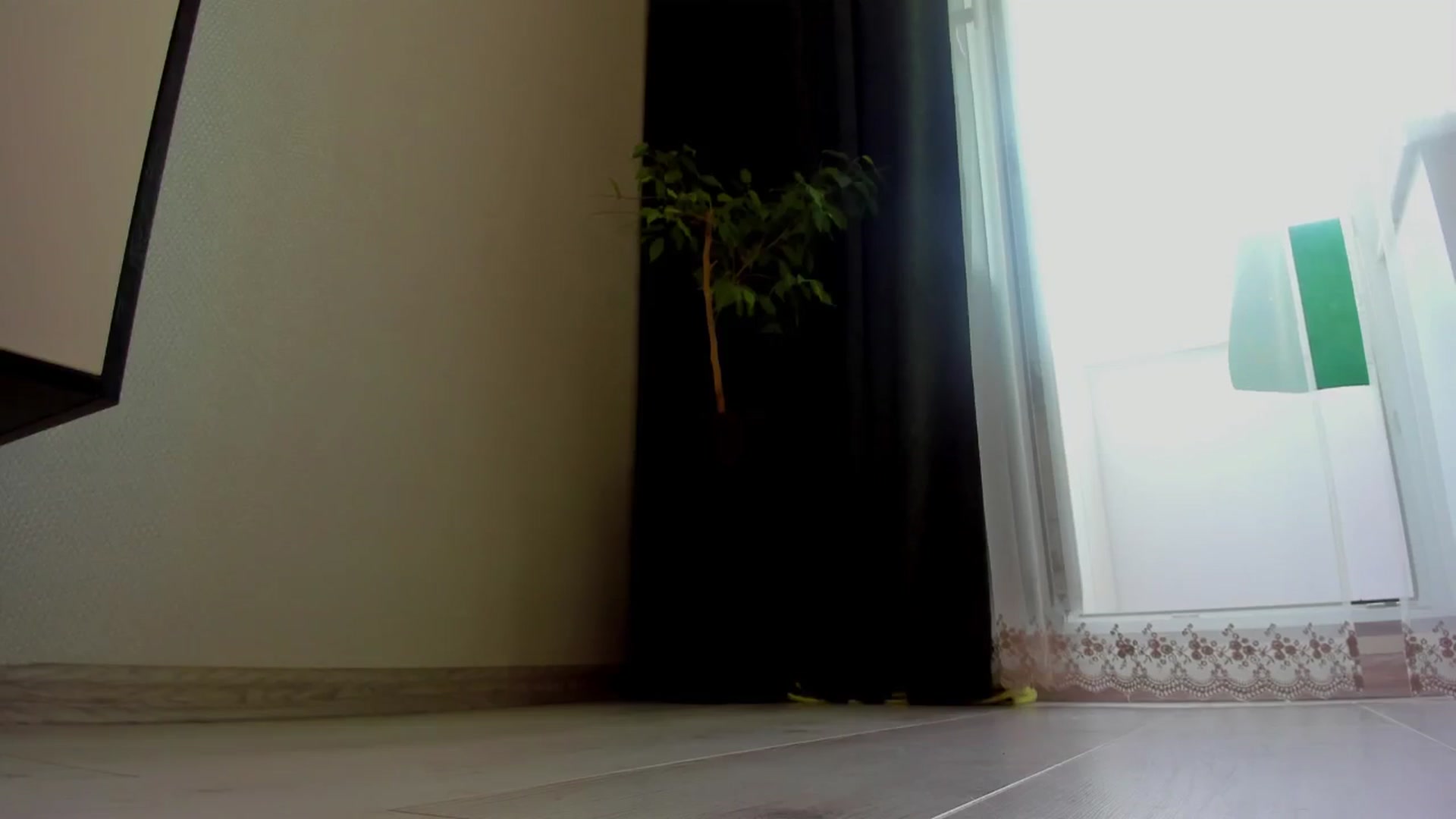Gallery image thumbnail from Make_my_Luck's myfreecams stream on, 06/12/2024, 09:04 image 18 of 20