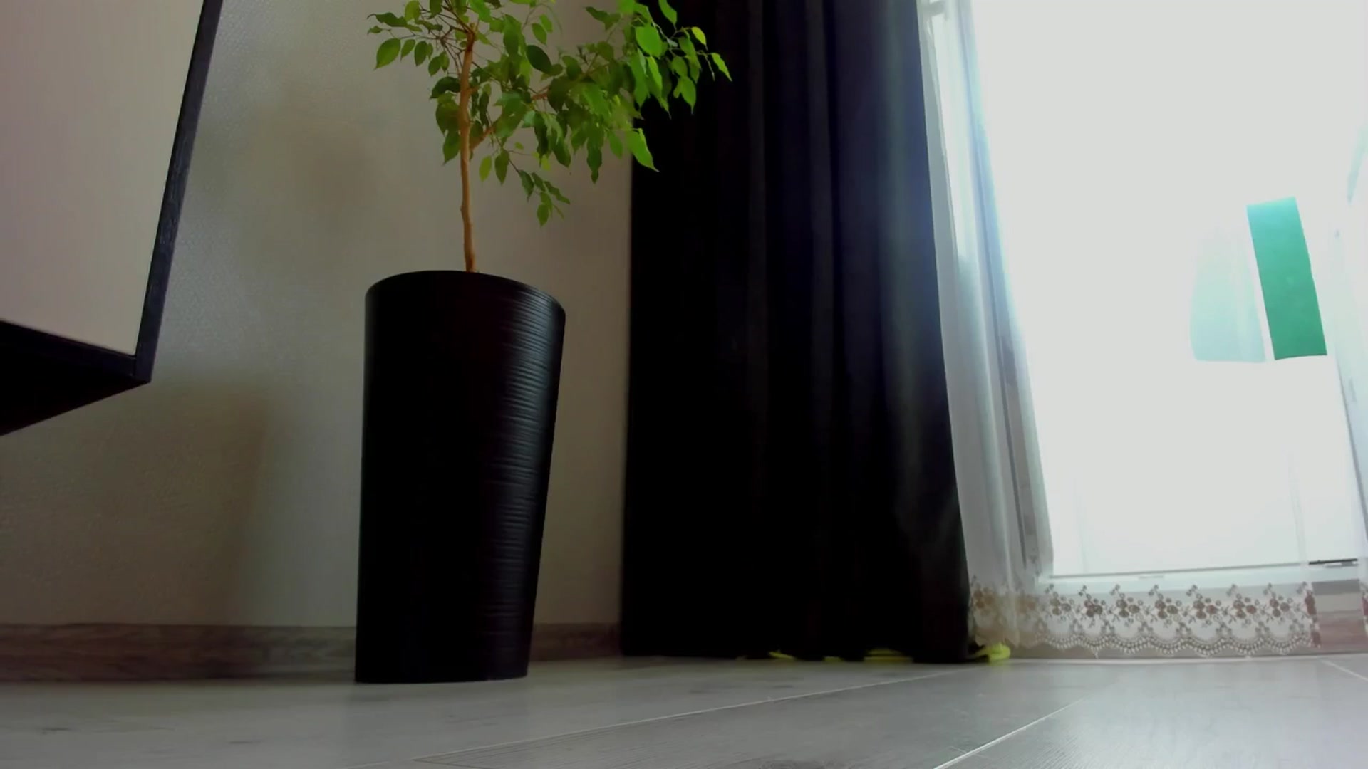 Gallery image thumbnail from Make_my_Luck's myfreecams stream on, 06/12/2024, 09:04 image 16 of 20
