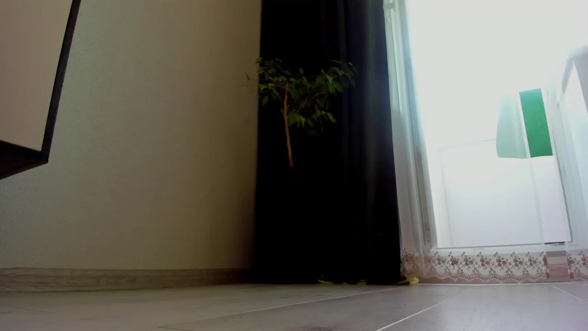 Gallery image thumbnail from Make_my_Luck's myfreecams stream on, 06/12/2024, 09:04 image 17 of 20