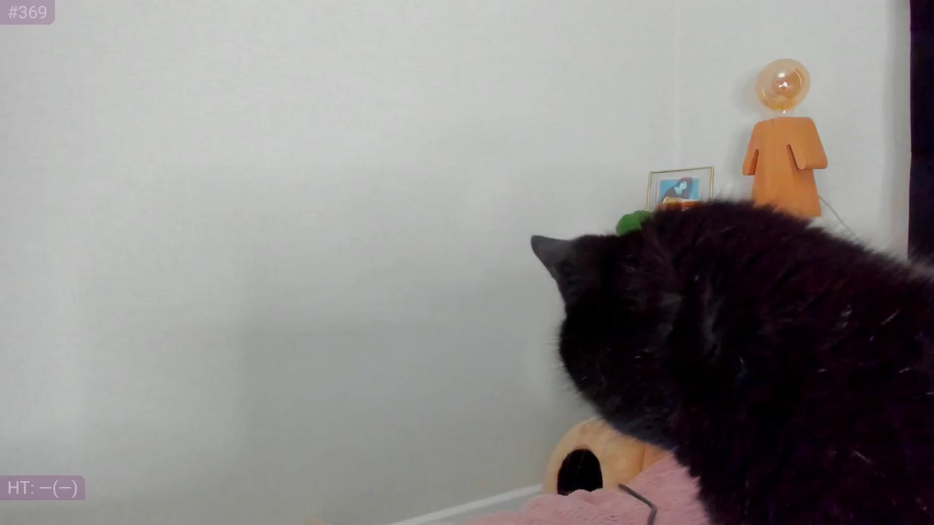 Gallery image thumbnail from Make_my_Luck's myfreecams stream on, 08/23/2024, 18:59 image 8 of 20
