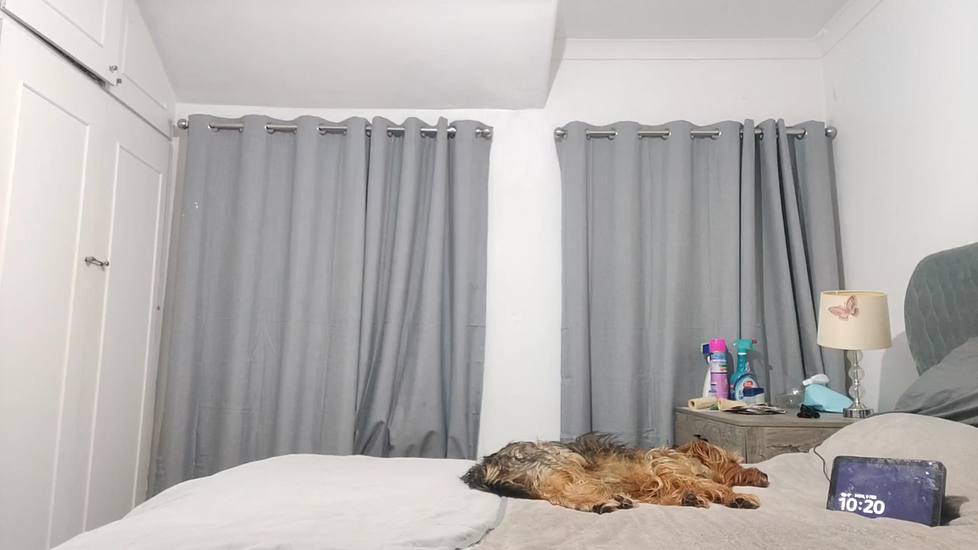 Gallery image thumbnail from MalaRia's myfreecams stream on, 02/10/2026, 01:37 image 5 of 20