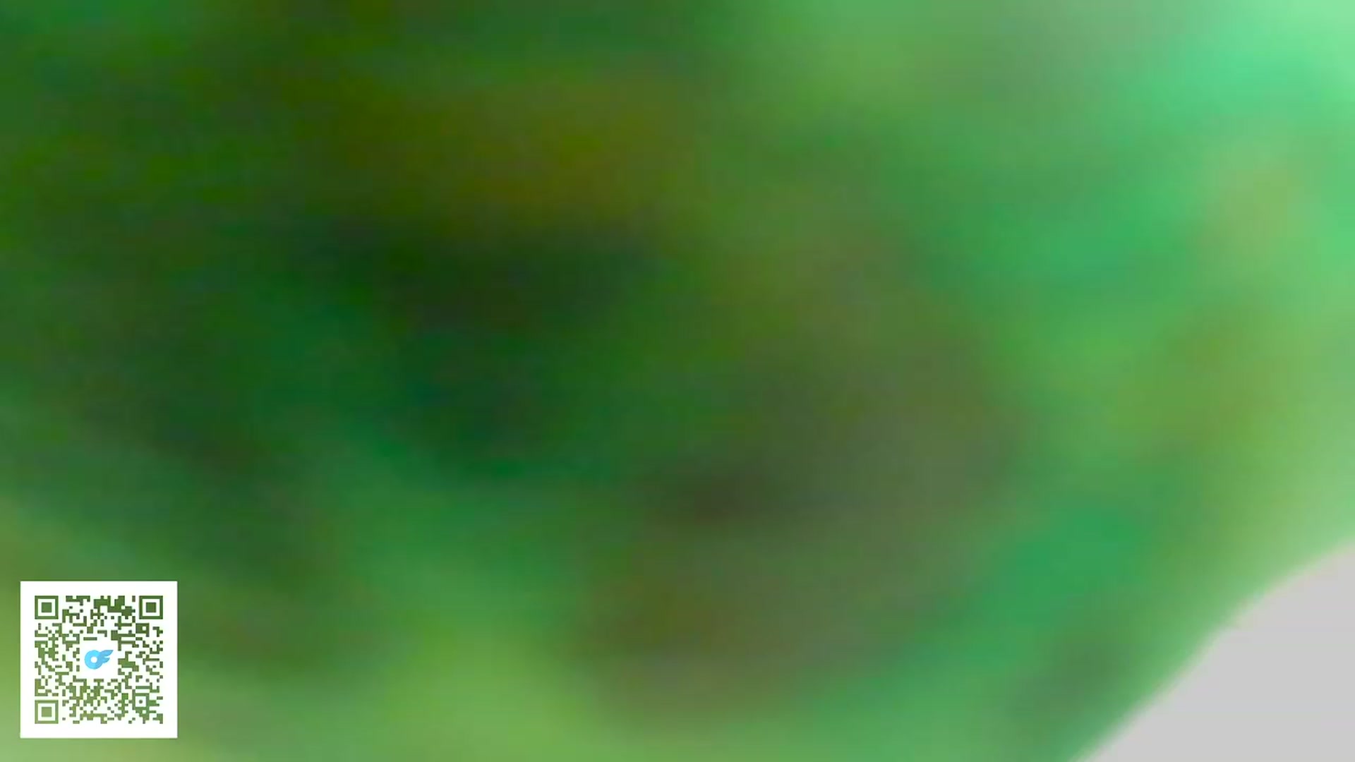 Gallery image thumbnail from Malika33's myfreecams stream on, 08/16/2023, 13:56 image 16 of 20