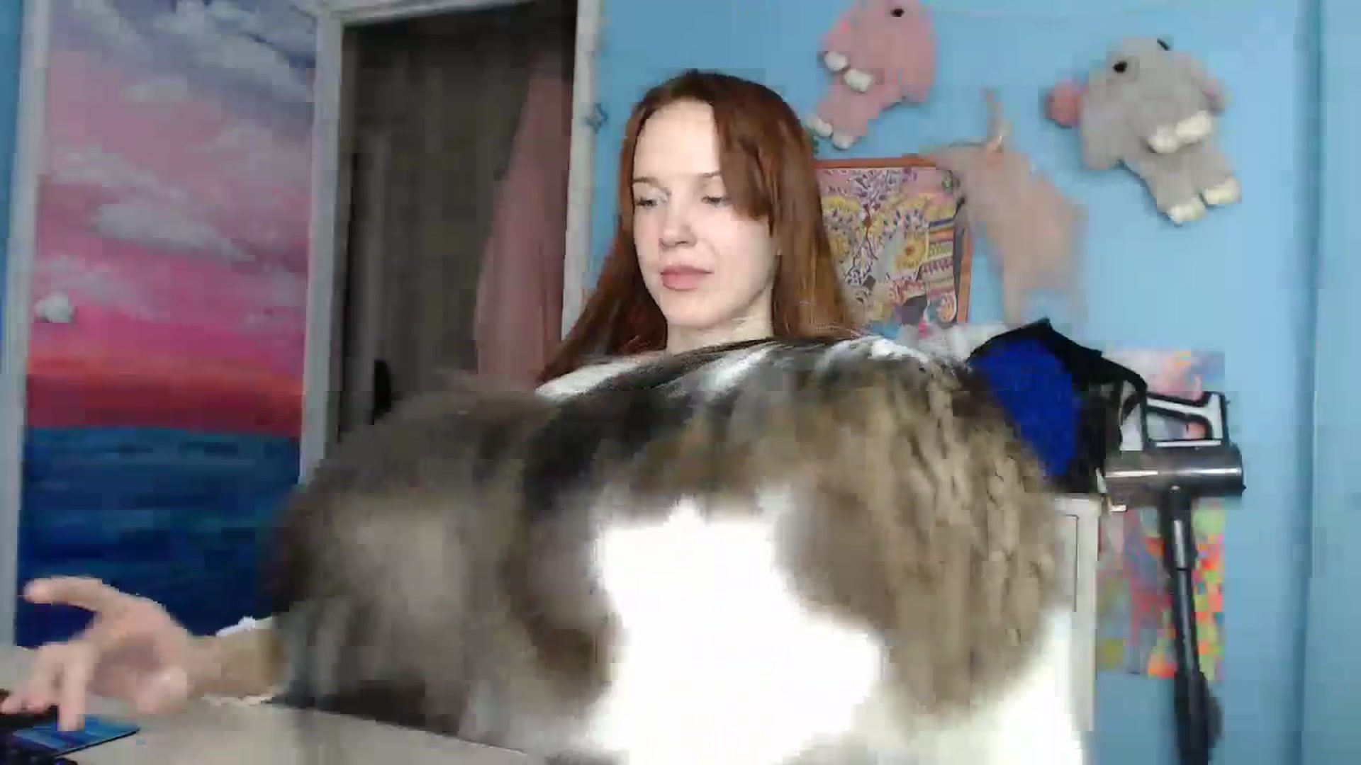 Gallery image thumbnail from Malina_kitty's myfreecams stream on, 08/12/2024, 03:15 image 5 of 20