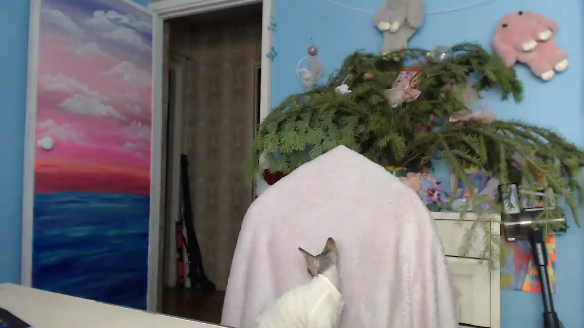 Gallery image thumbnail from Malina_kitty's myfreecams stream on, 12/27/2024, 03:25 image 14 of 20