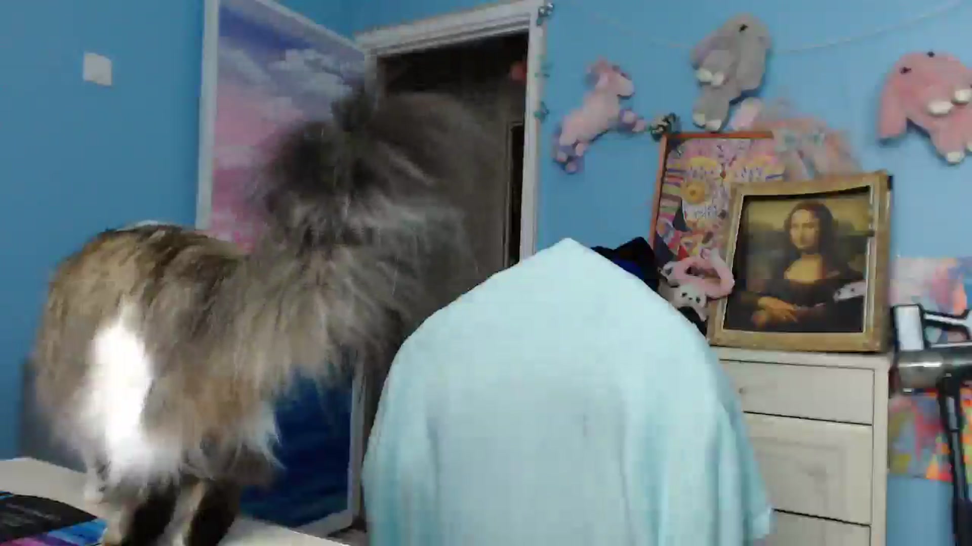Gallery image thumbnail from Malina_kitty's myfreecams stream on, 02/06/2026, 03:51 image 11 of 20