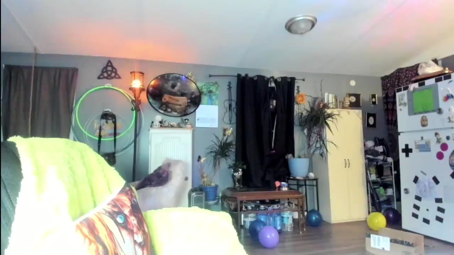 Gallery image thumbnail from Malunaa's myfreecams stream on, 10/20/2024, 24:15 image 2 of 20