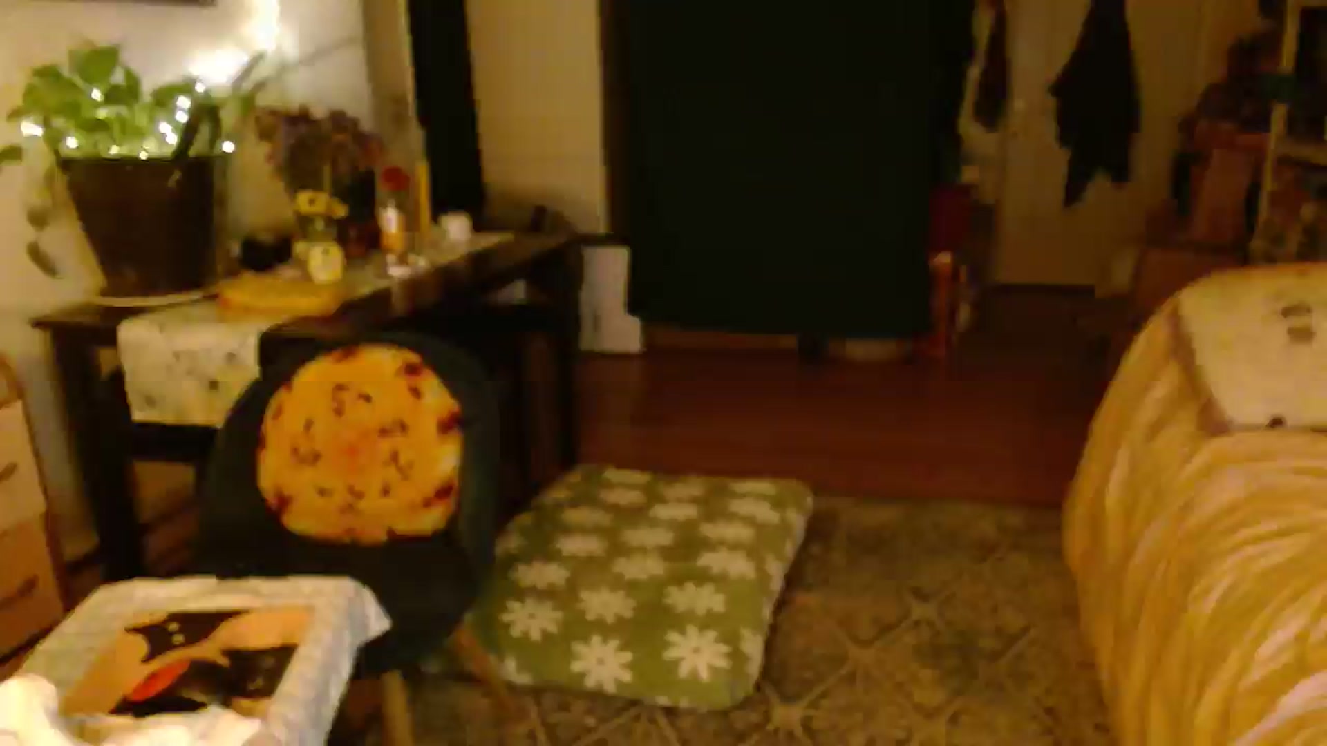 Gallery image thumbnail from Mamaearth's myfreecams stream on, 09/09/2024, 08:19 image 10 of 20