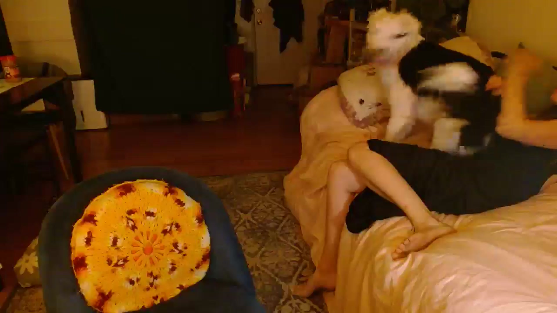 Gallery image thumbnail from Mamaearth's myfreecams stream on, 09/09/2024, 08:19 image 20 of 20