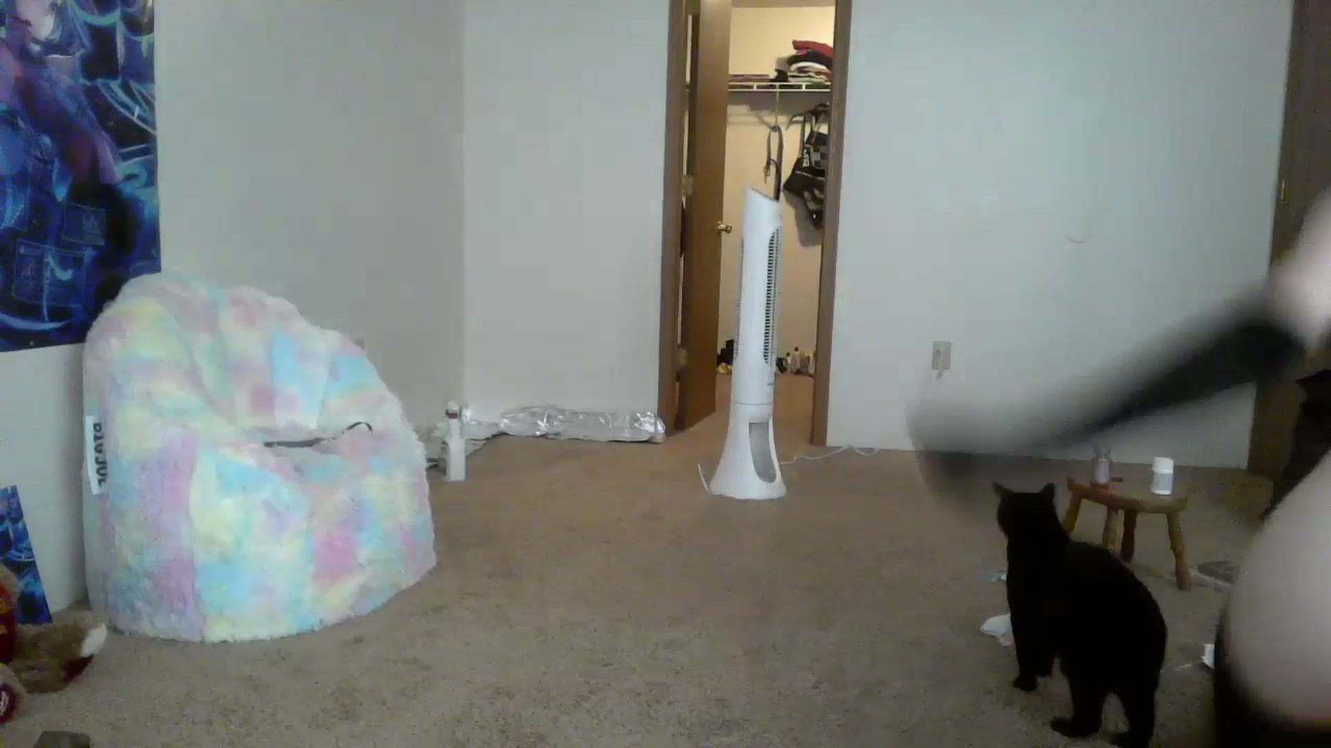 Gallery image thumbnail from Mandeigh's myfreecams stream on, 06/29/2023, 08:40 image 19 of 20