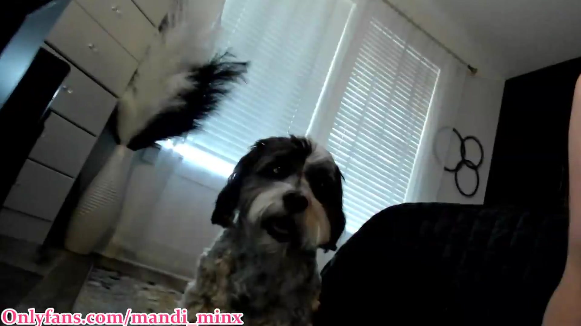 Gallery image thumbnail from Mandi_Minx's myfreecams stream on, 08/19/2026, 02:43 image 20 of 20