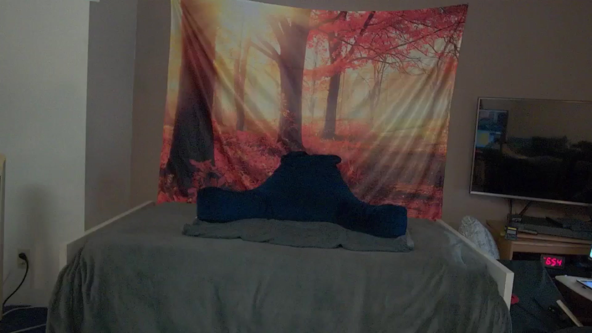 Gallery image thumbnail from Mandy_Rose's myfreecams stream on, 11/15/2024, 03:07 image 13 of 20