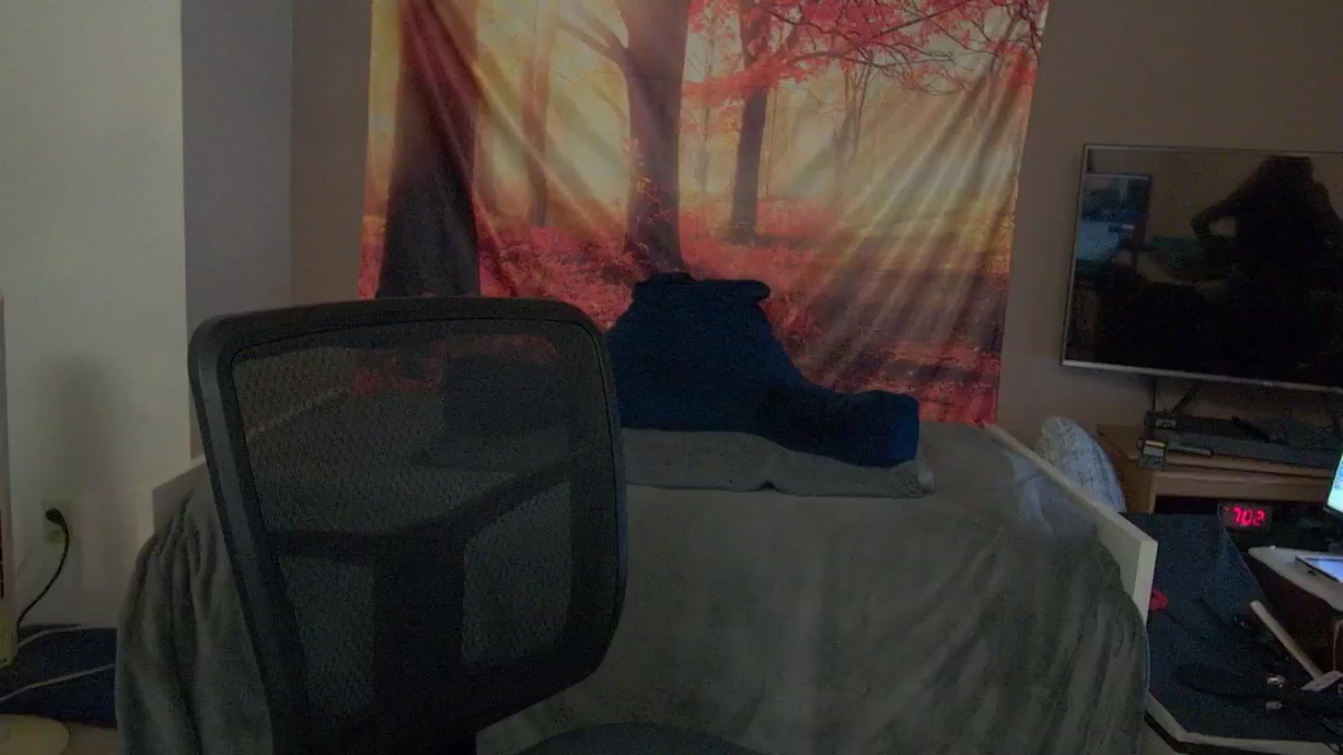 Gallery image thumbnail from Mandy_Rose's myfreecams stream on, 11/15/2024, 03:07 image 19 of 20