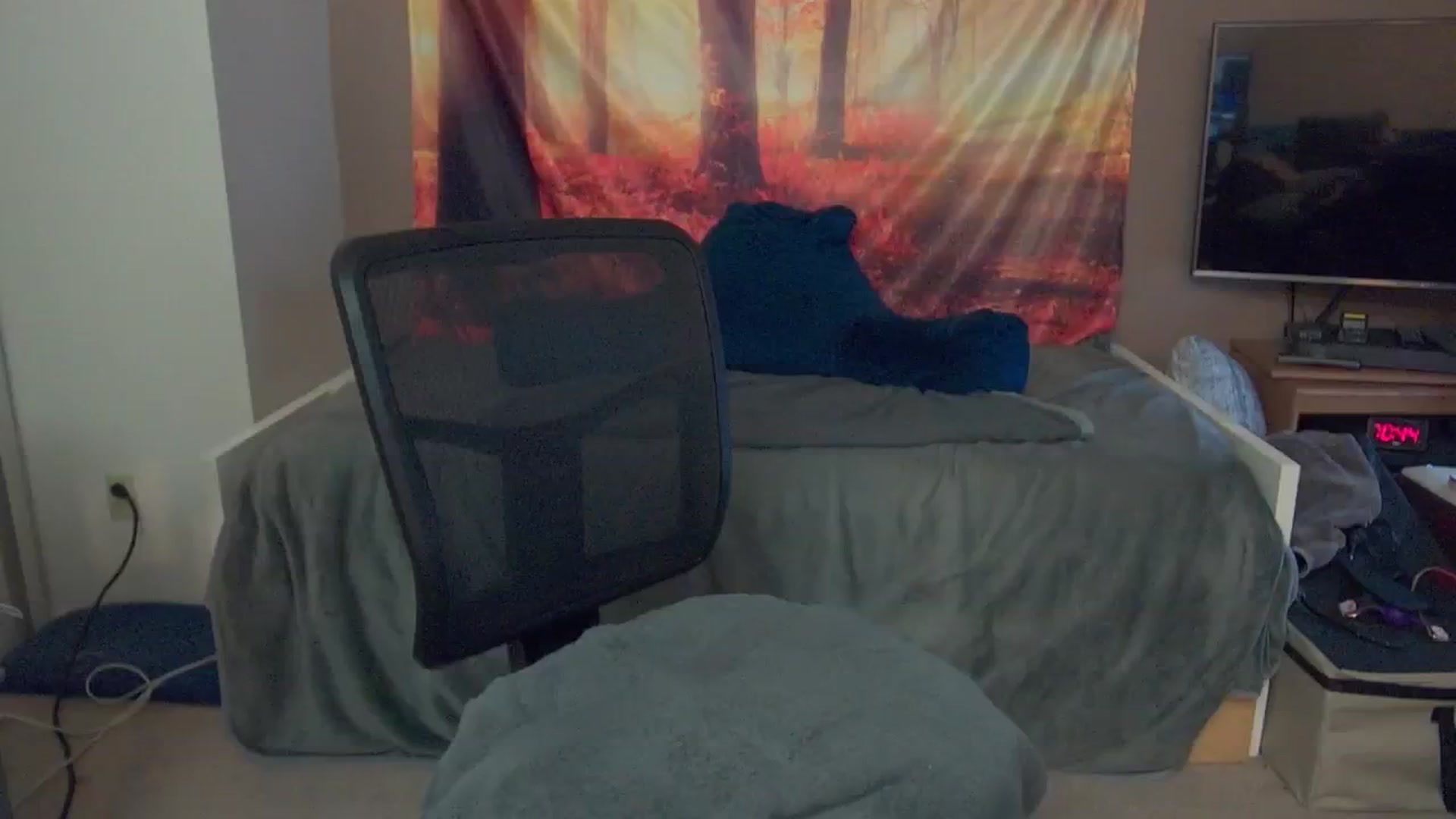 Gallery image thumbnail from Mandy_Rose's myfreecams stream on, 11/29/2024, 07:11 image 8 of 20