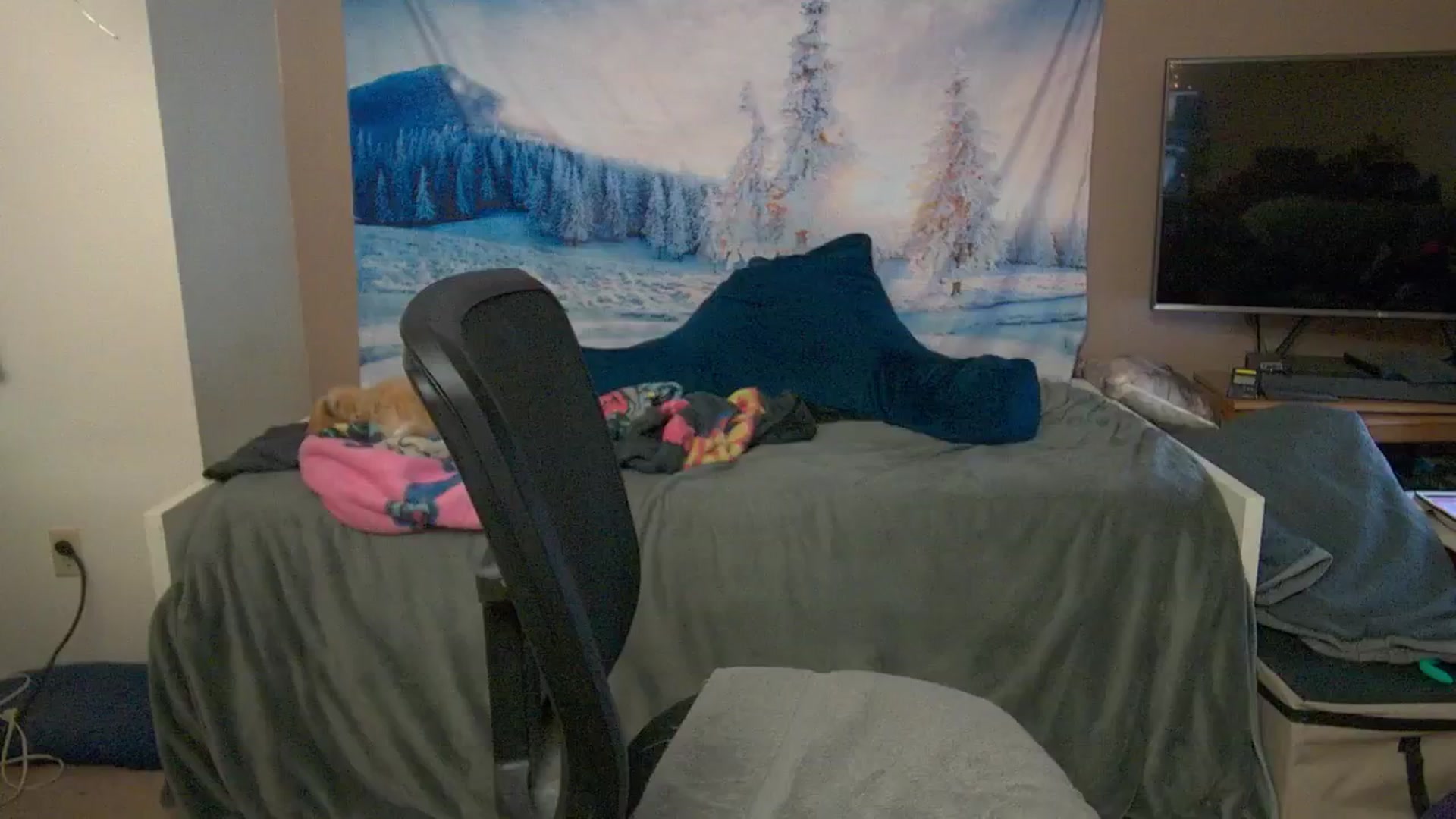 Gallery image thumbnail from Mandy_Rose's myfreecams stream on, 02/16/2025, 05:29 image 7 of 20