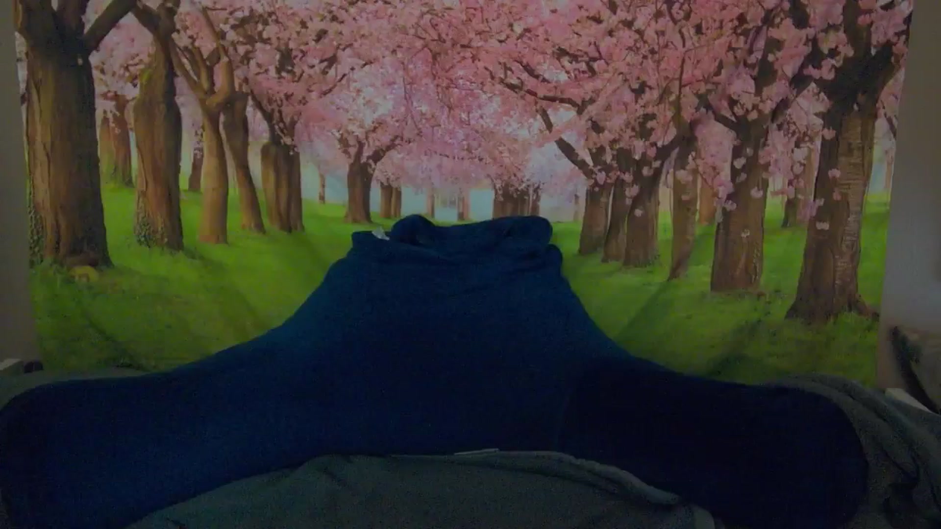 Gallery image thumbnail from Mandy_Rose's myfreecams stream on, 04/11/2025, 03:47 image 15 of 20