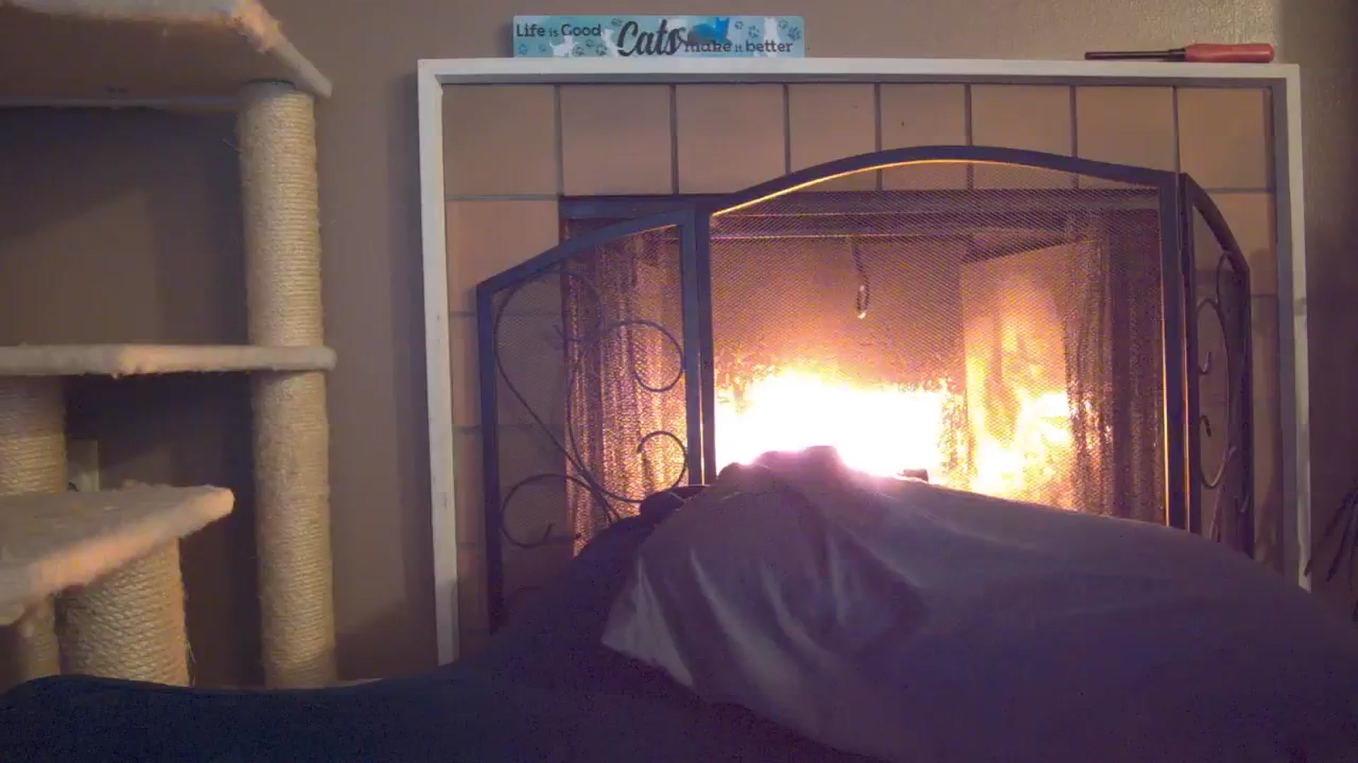 Gallery image thumbnail from Mandy_Rose's myfreecams stream on, 12/09/2025, 05:23 image 10 of 20