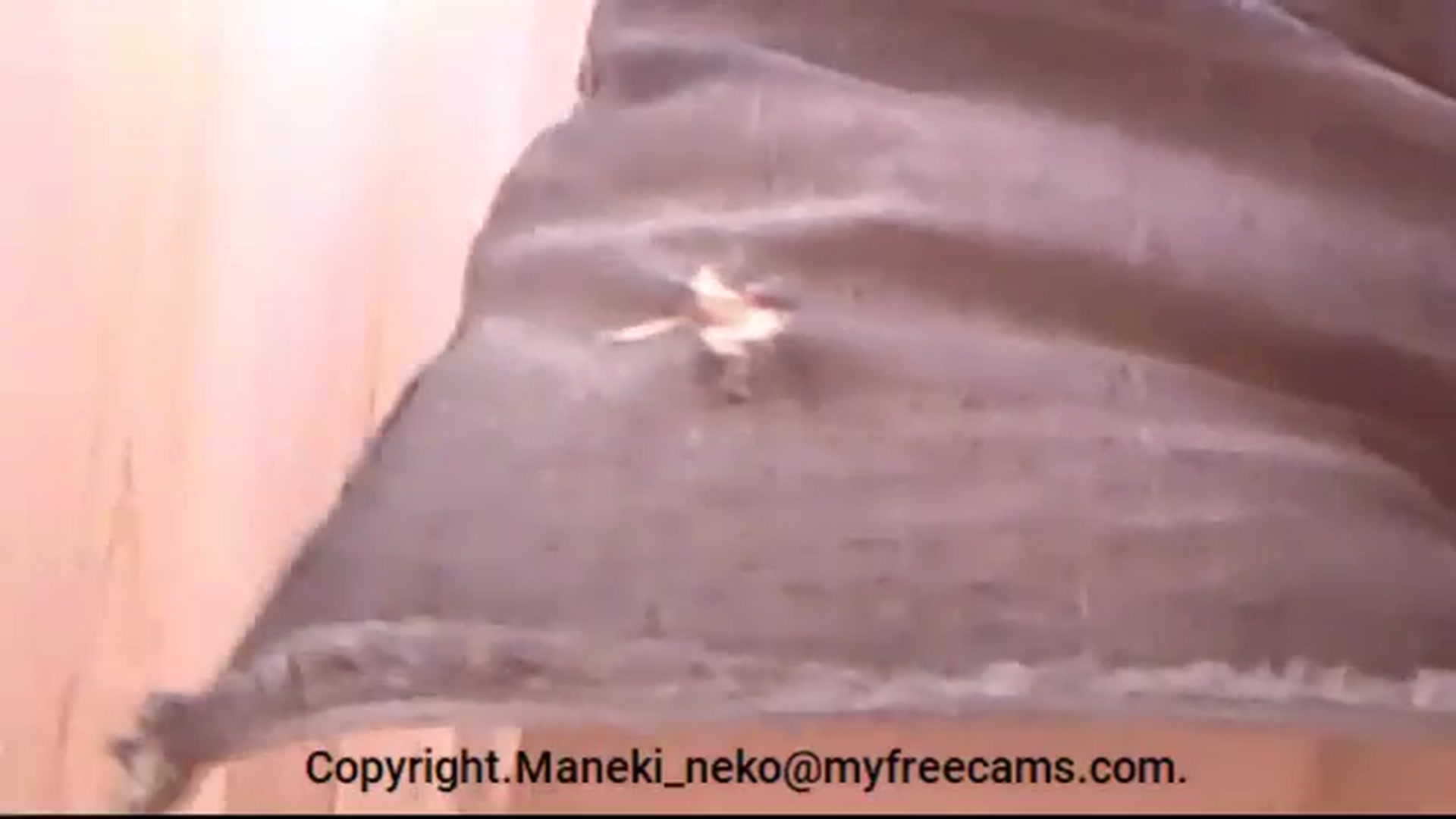 Gallery image thumbnail from Maneki_neko's myfreecams stream on, 08/07/2024, 07:59 image 10 of 20