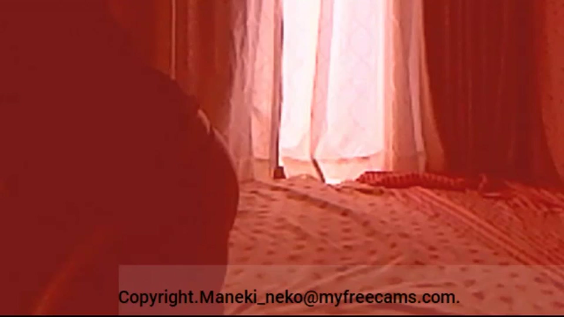 Gallery image thumbnail from Maneki_neko's myfreecams stream on, 10/22/2024, 07:21 image 15 of 20