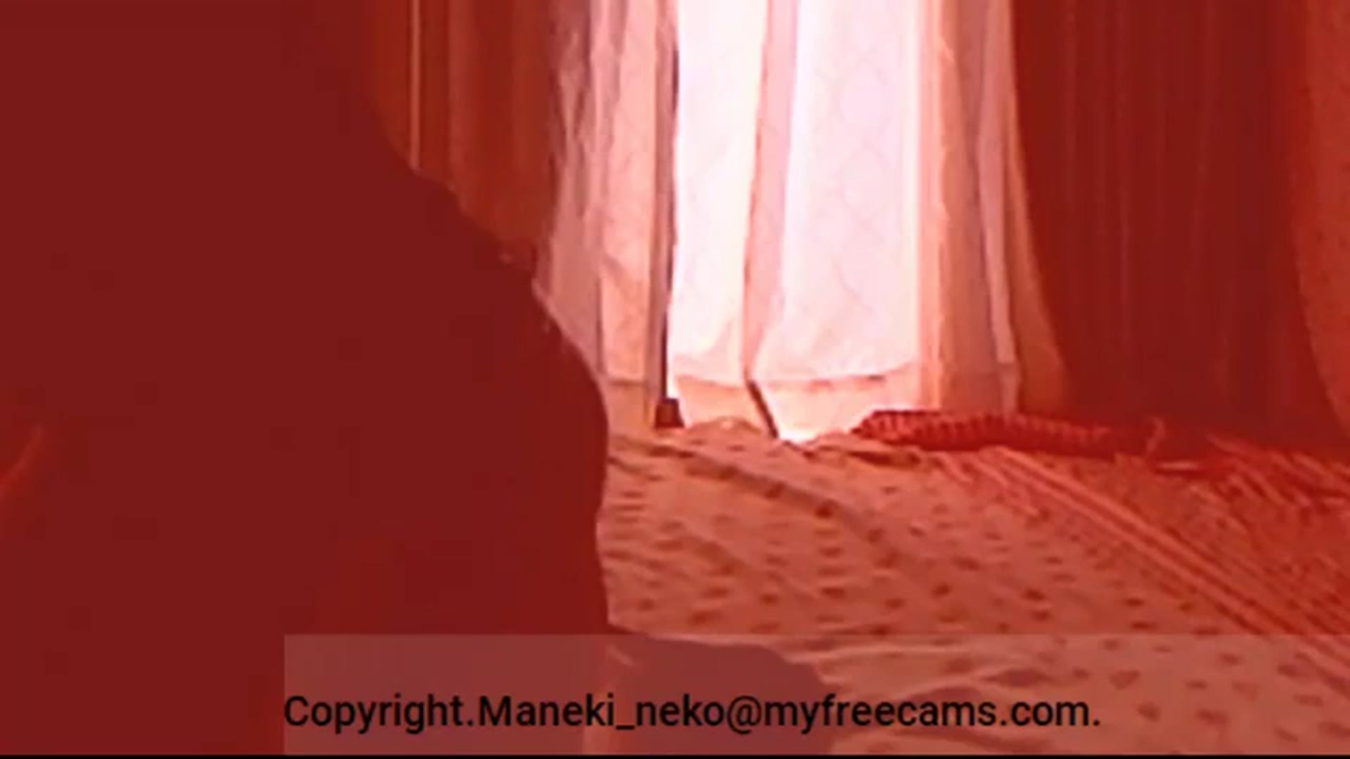 Gallery image thumbnail from Maneki_neko's myfreecams stream on, 10/22/2024, 07:21 image 14 of 20