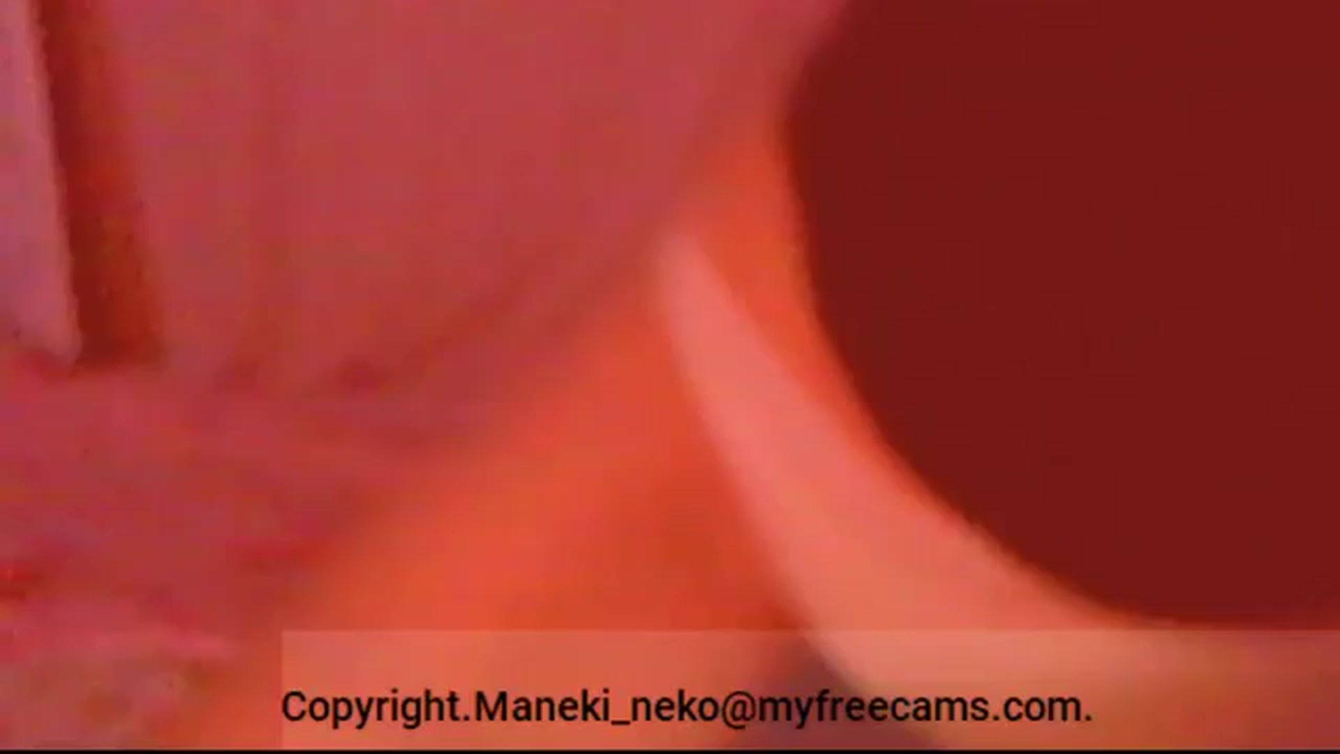 Gallery image thumbnail from Maneki_neko's myfreecams stream on, 10/25/2024, 07:17 image 2 of 20