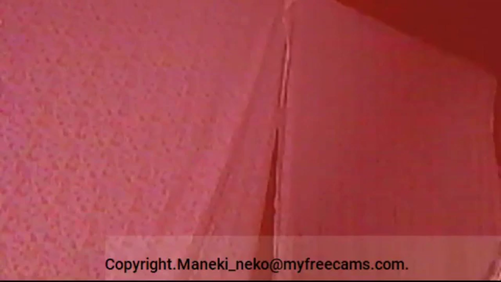 Gallery image thumbnail from Maneki_neko's myfreecams stream on, 10/29/2024, 07:56 image 3 of 20