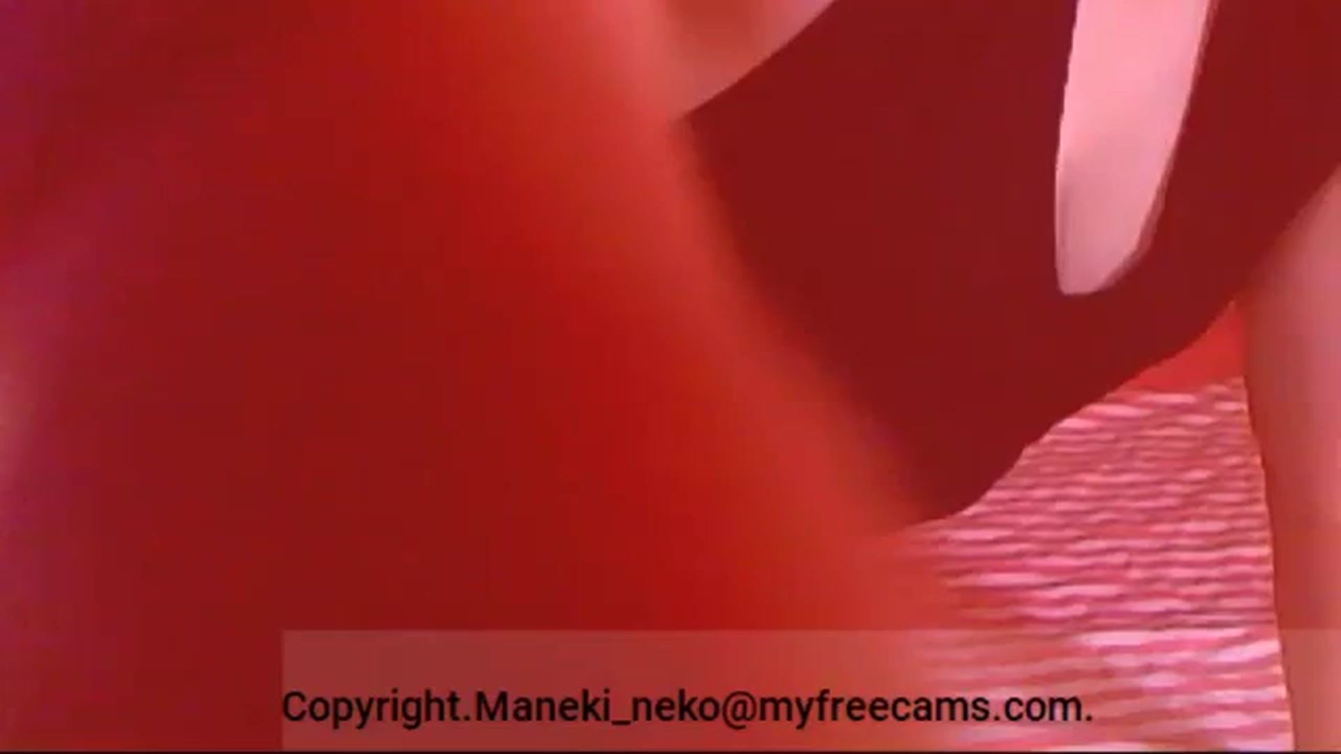 Gallery image thumbnail from Maneki_neko's myfreecams stream on, 08/05/2025, 07:36 image 9 of 20