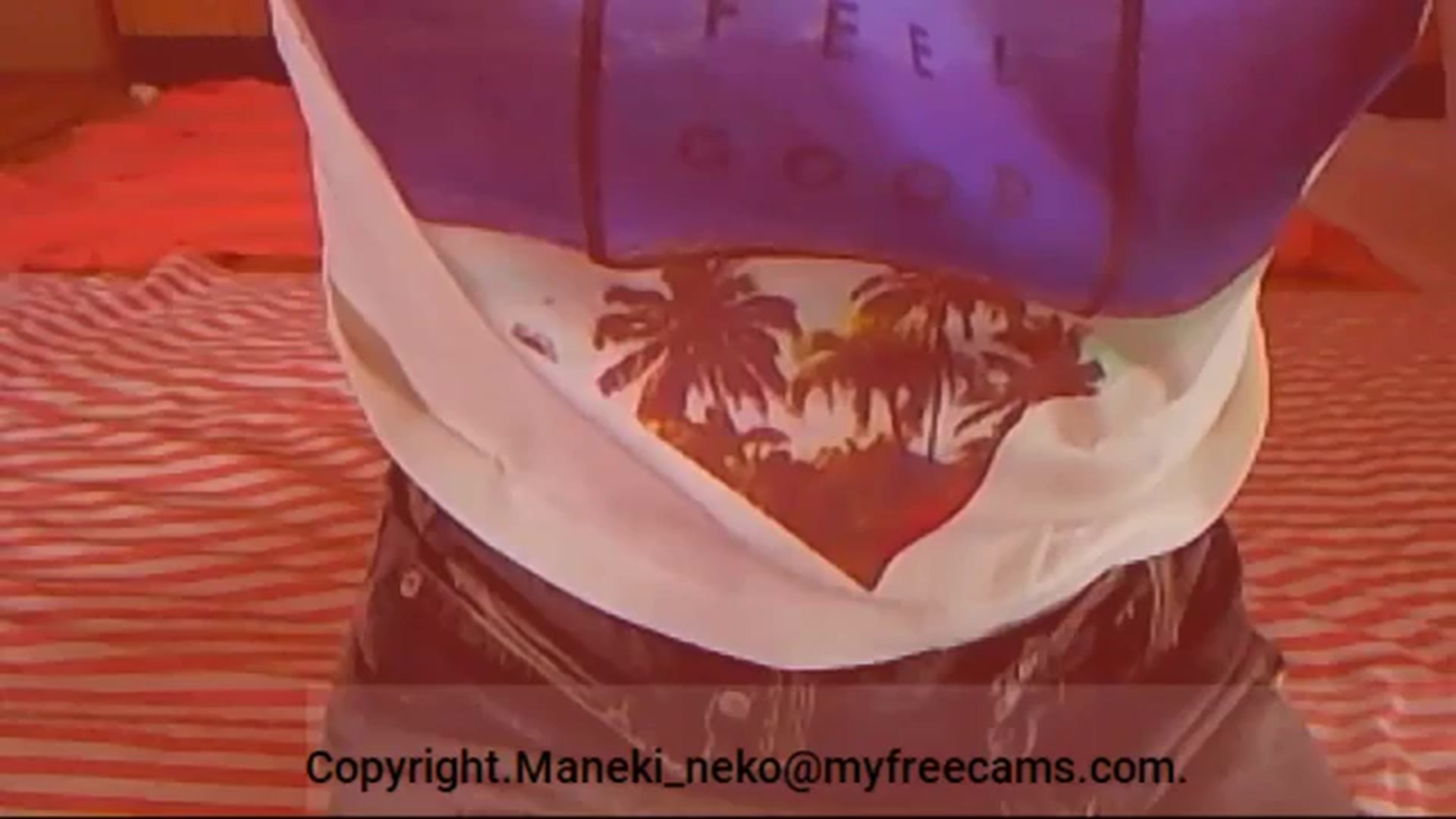 Gallery image thumbnail from Maneki_neko's myfreecams stream on, 08/12/2025, 08:16 image 3 of 20