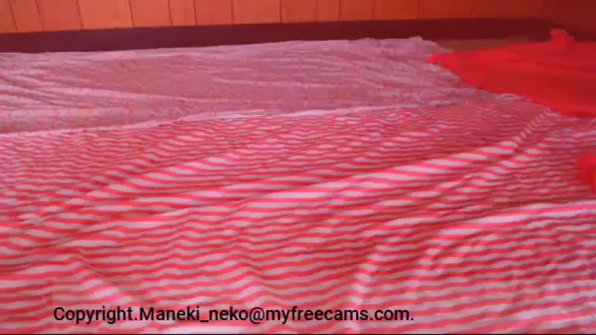 Gallery image thumbnail from Maneki_neko's myfreecams stream on, 10/27/2025, 07:14 image 2 of 20