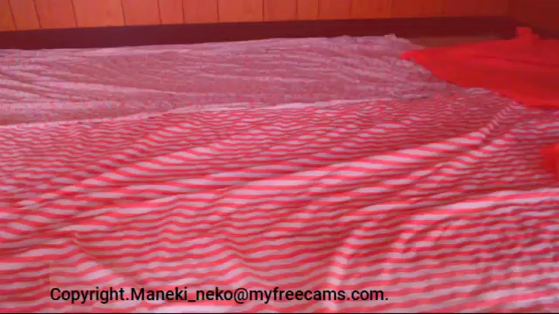 Gallery image thumbnail from Maneki_neko's myfreecams stream on, 10/27/2025, 07:14 image 3 of 20