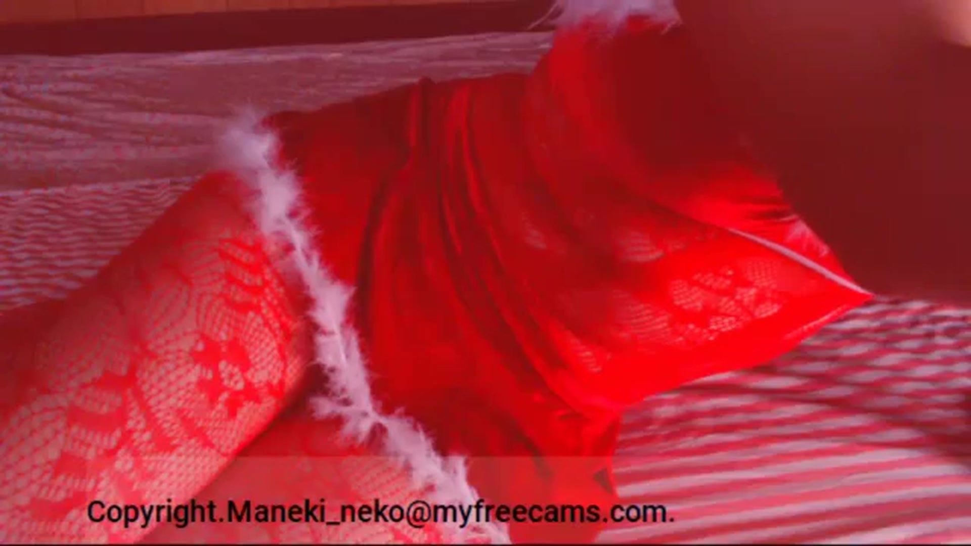 Gallery image thumbnail from Maneki_neko's myfreecams stream on, 10/27/2025, 07:14 image 16 of 20