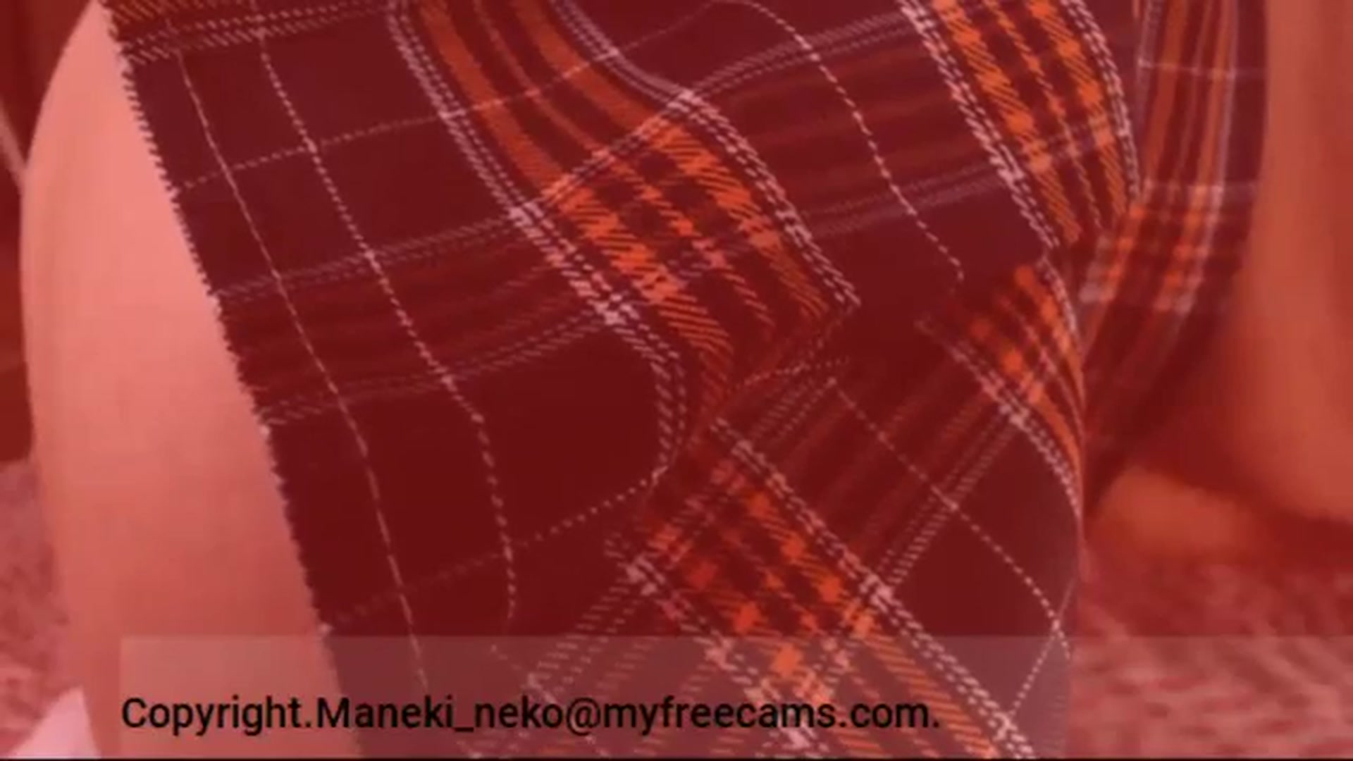 Gallery image thumbnail from Maneki_neko's myfreecams stream on, 01/13/2026, 07:46 image 17 of 20