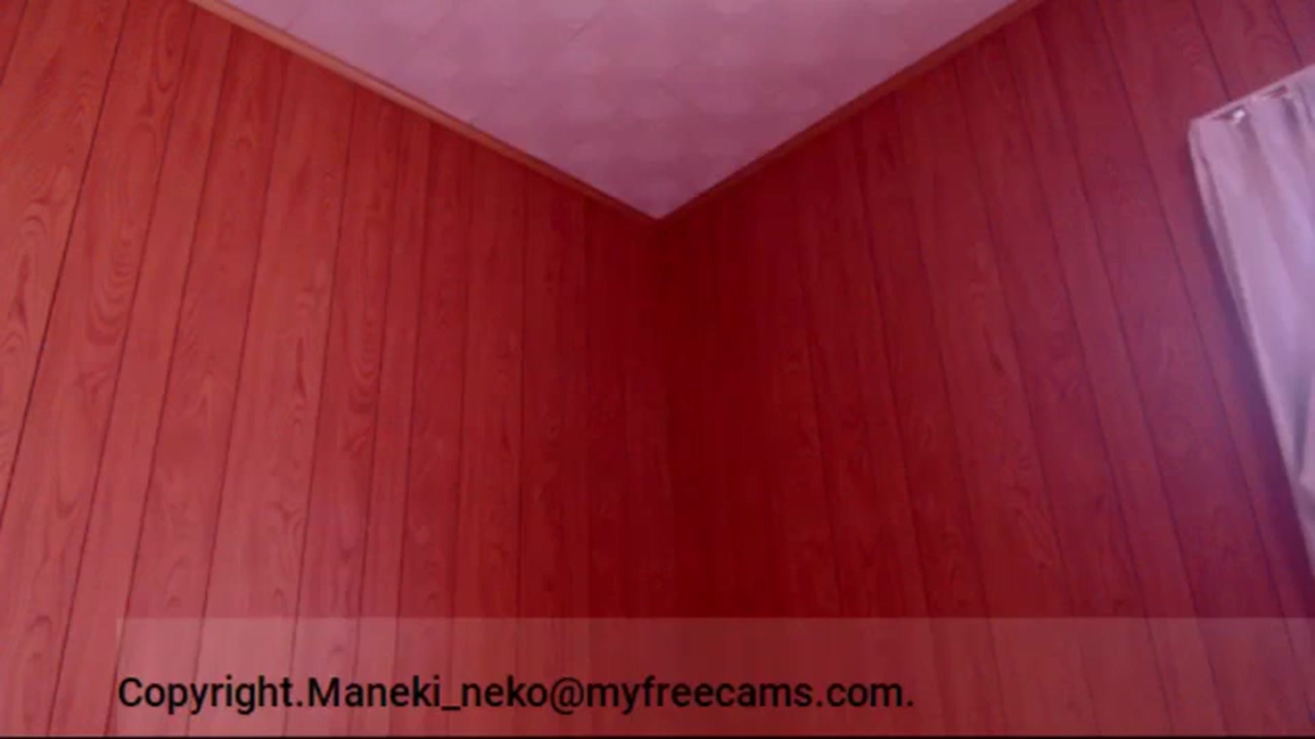 Gallery image thumbnail from Maneki_neko's myfreecams stream on, 02/09/2026, 07:57 image 16 of 20