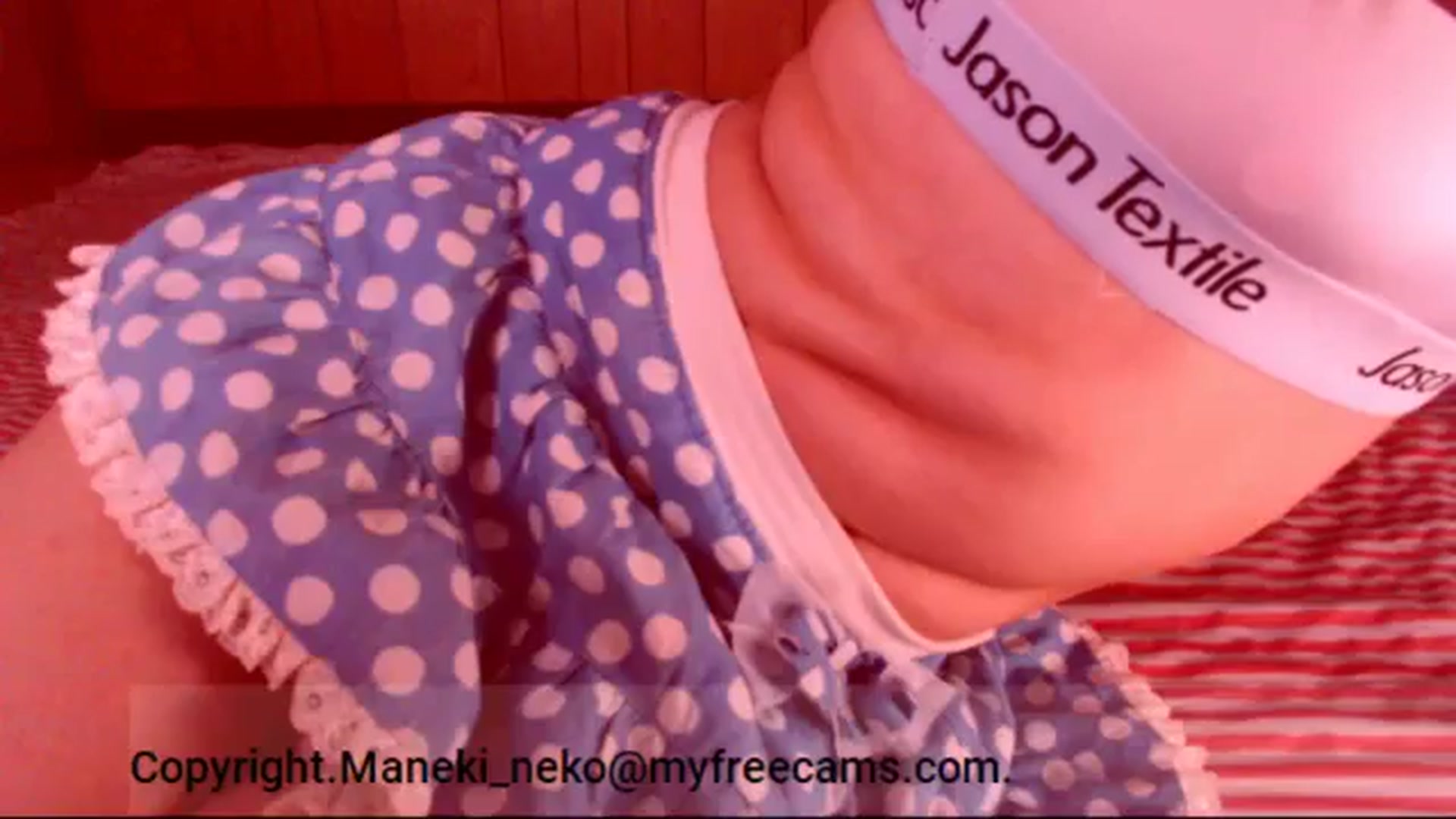 Gallery image thumbnail from Maneki_neko's myfreecams stream on, 03/02/2026, 07:20 image 19 of 20