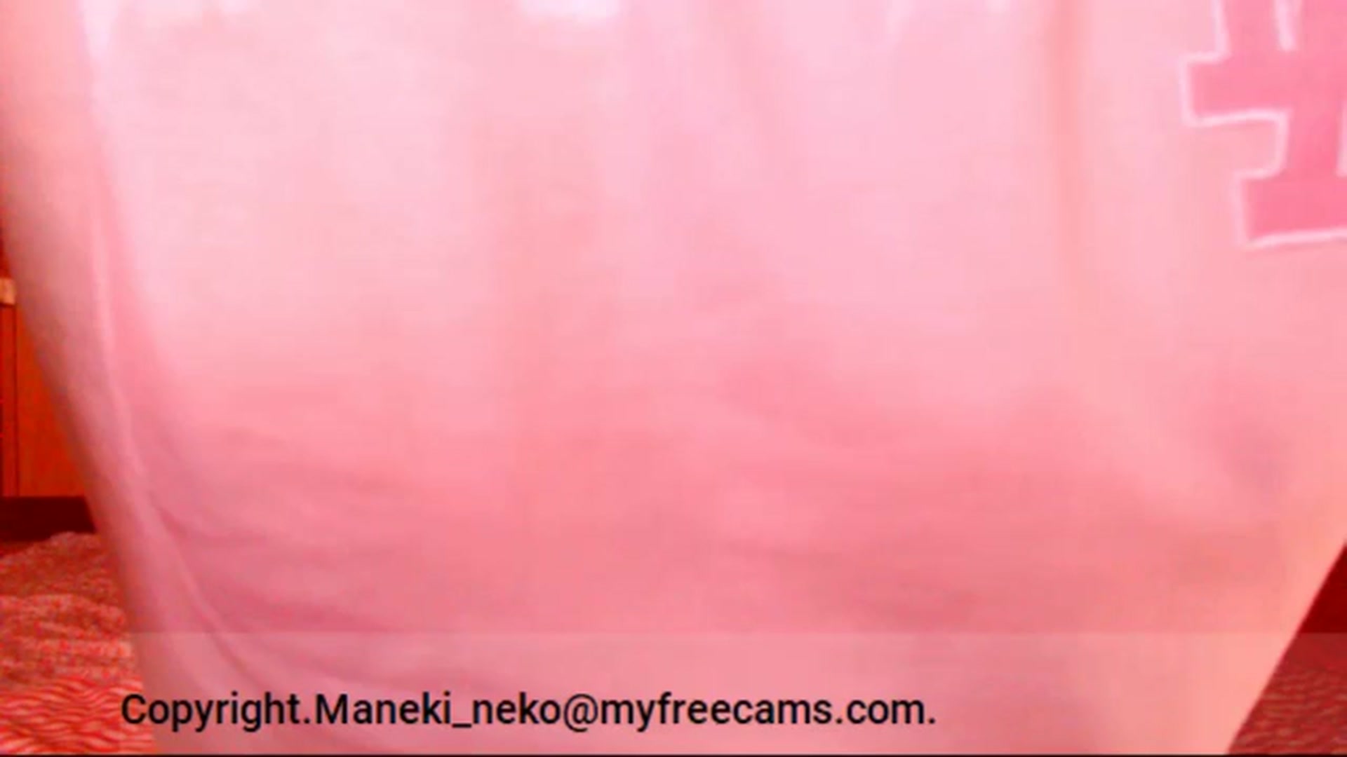 Gallery image thumbnail from Maneki_neko's myfreecams stream on, 03/13/2026, 07:50 image 20 of 20