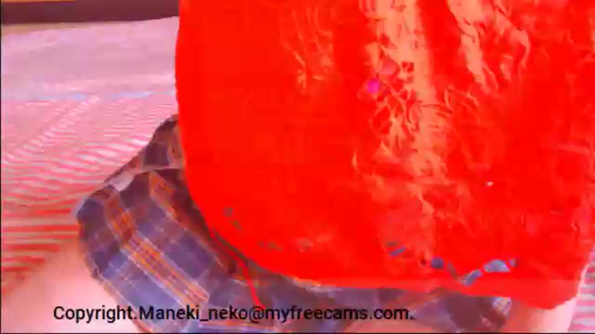 Gallery image thumbnail from Maneki_neko's myfreecams stream on, 06/03/2026, 07:41 image 11 of 20