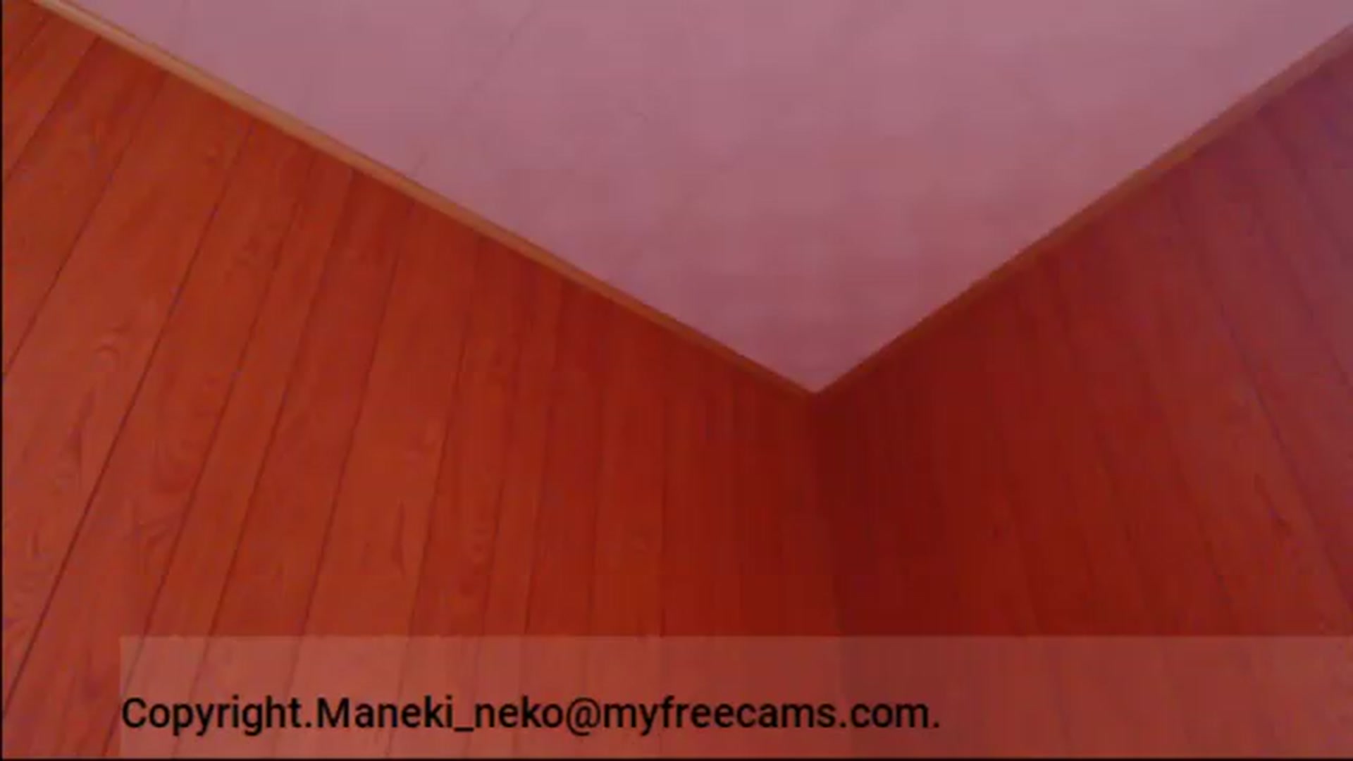 Gallery image thumbnail from Maneki_neko's myfreecams stream on, 07/13/2026, 07:50 image 4 of 20
