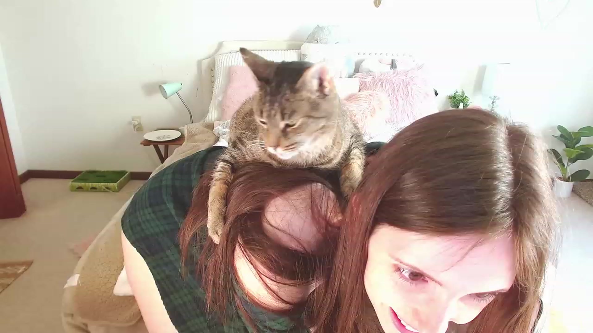 Gallery image thumbnail from MangoMae's myfreecams stream on, 03/26/2023, 15:52 image 17 of 20