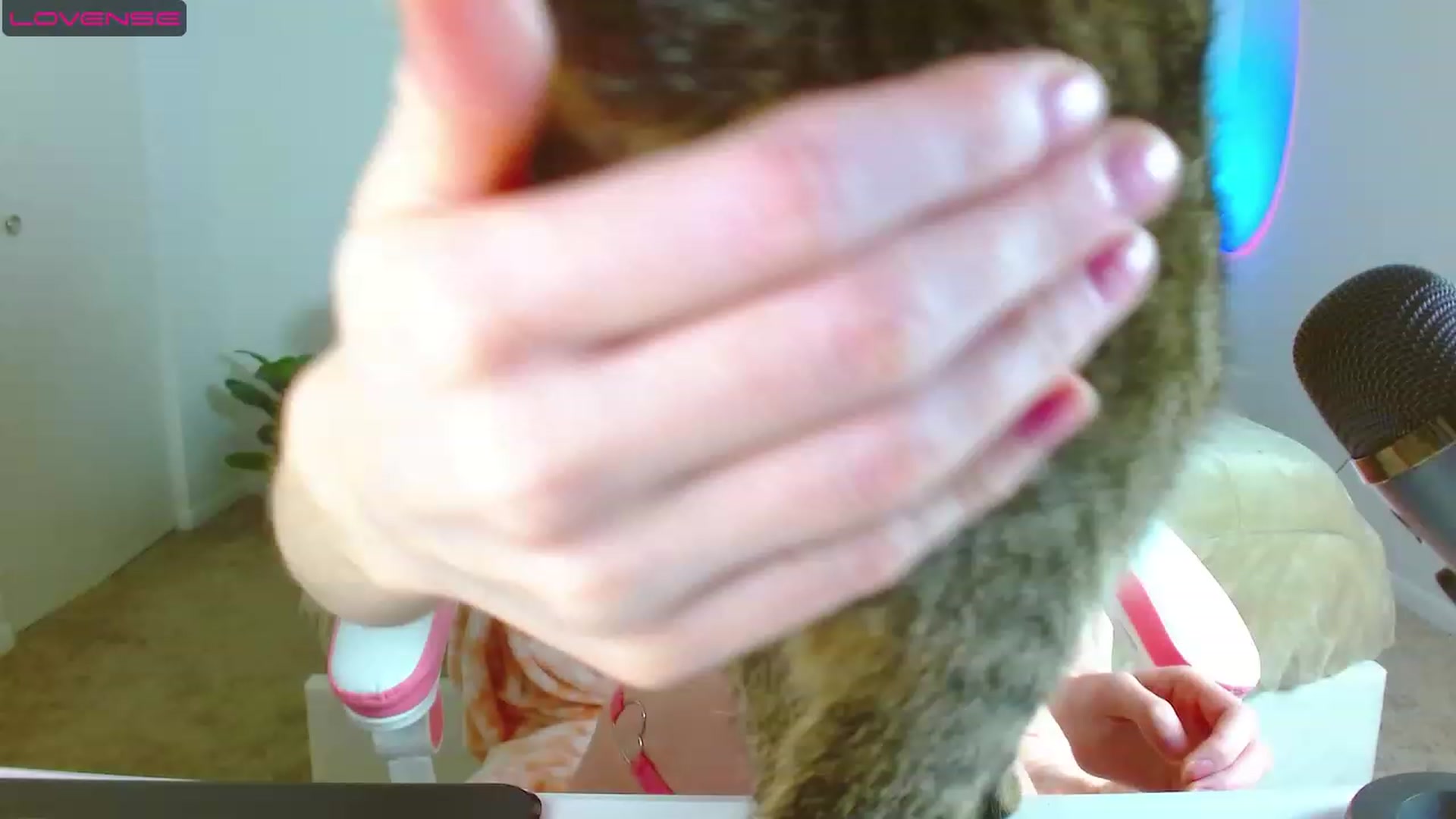 Gallery image thumbnail from MangoMae's myfreecams stream on, 04/23/2023, 11:29 image 16 of 20